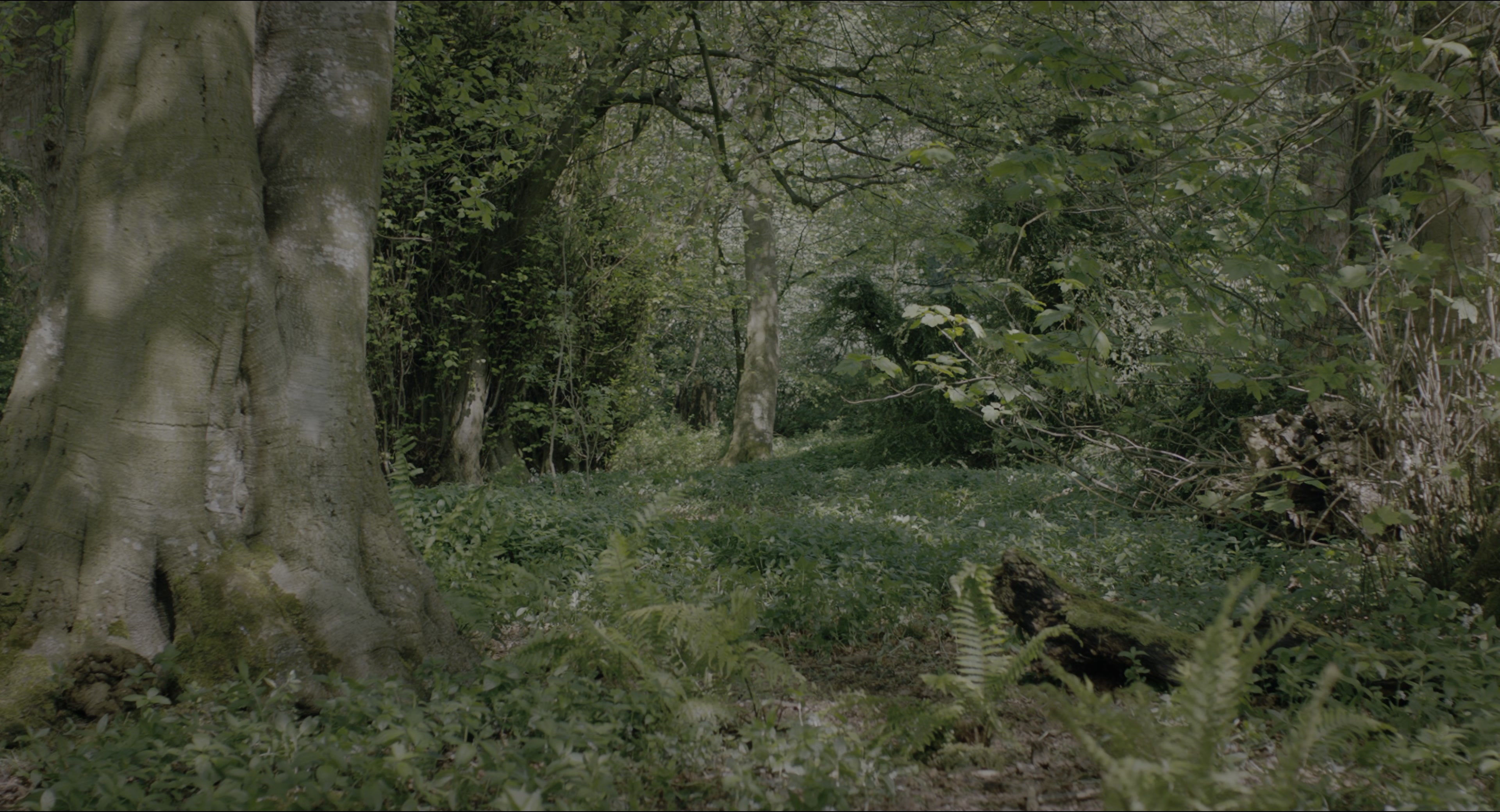The Secret Garden (2020), wide, 1.85:1 — film still