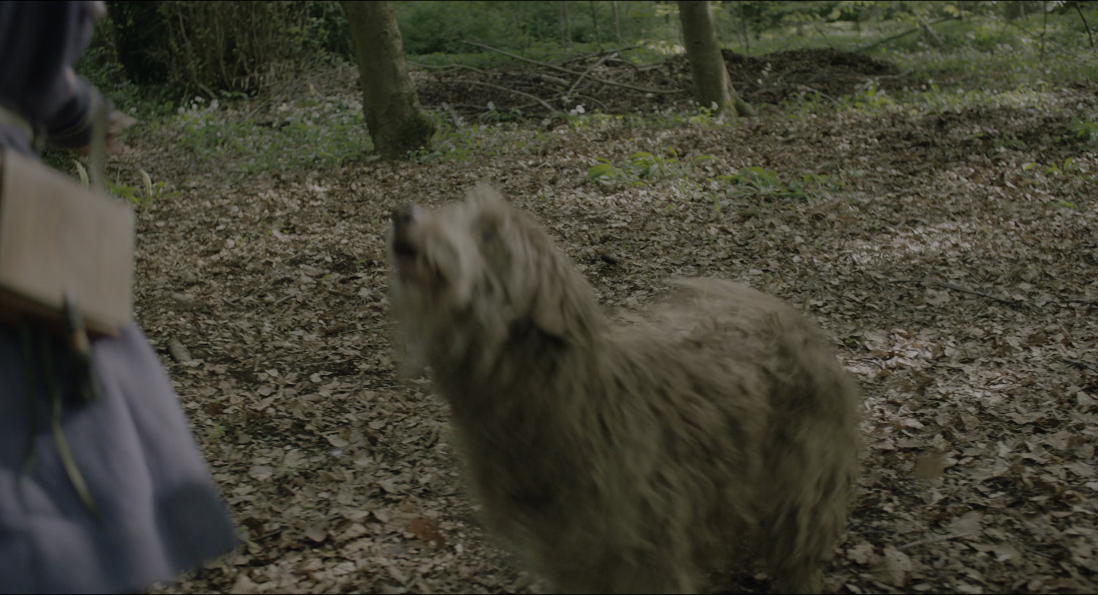 The Secret Garden (2020), wide, 1.85:1 — film still
