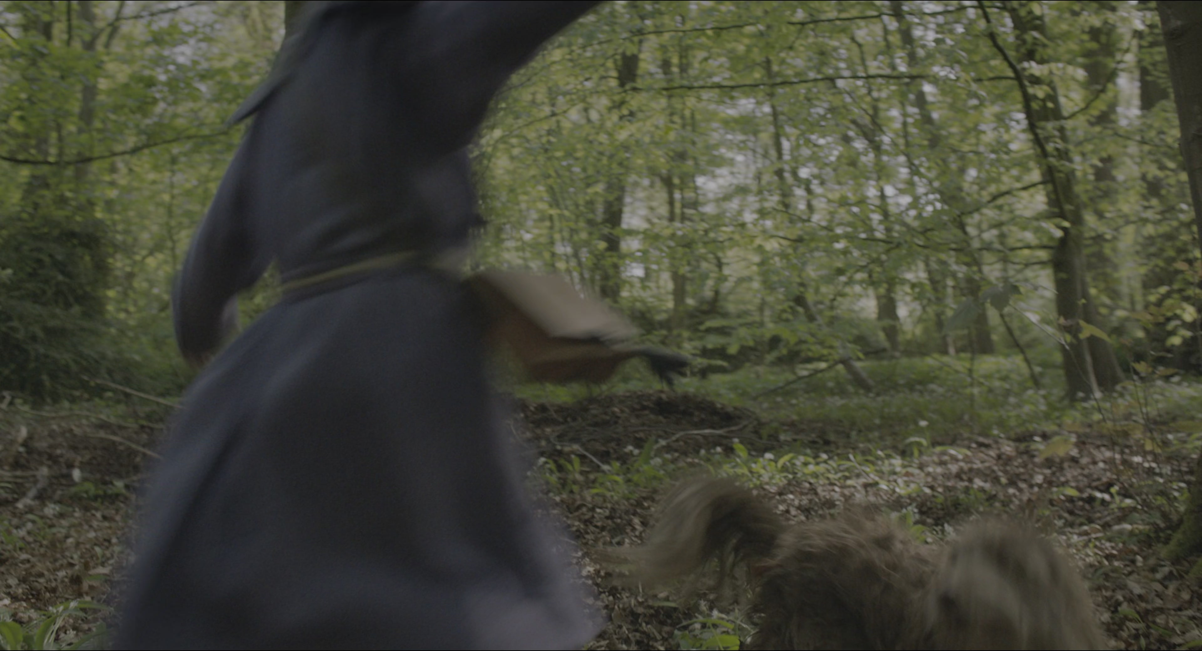 The Secret Garden (2020), wide, 1.85:1 — film still