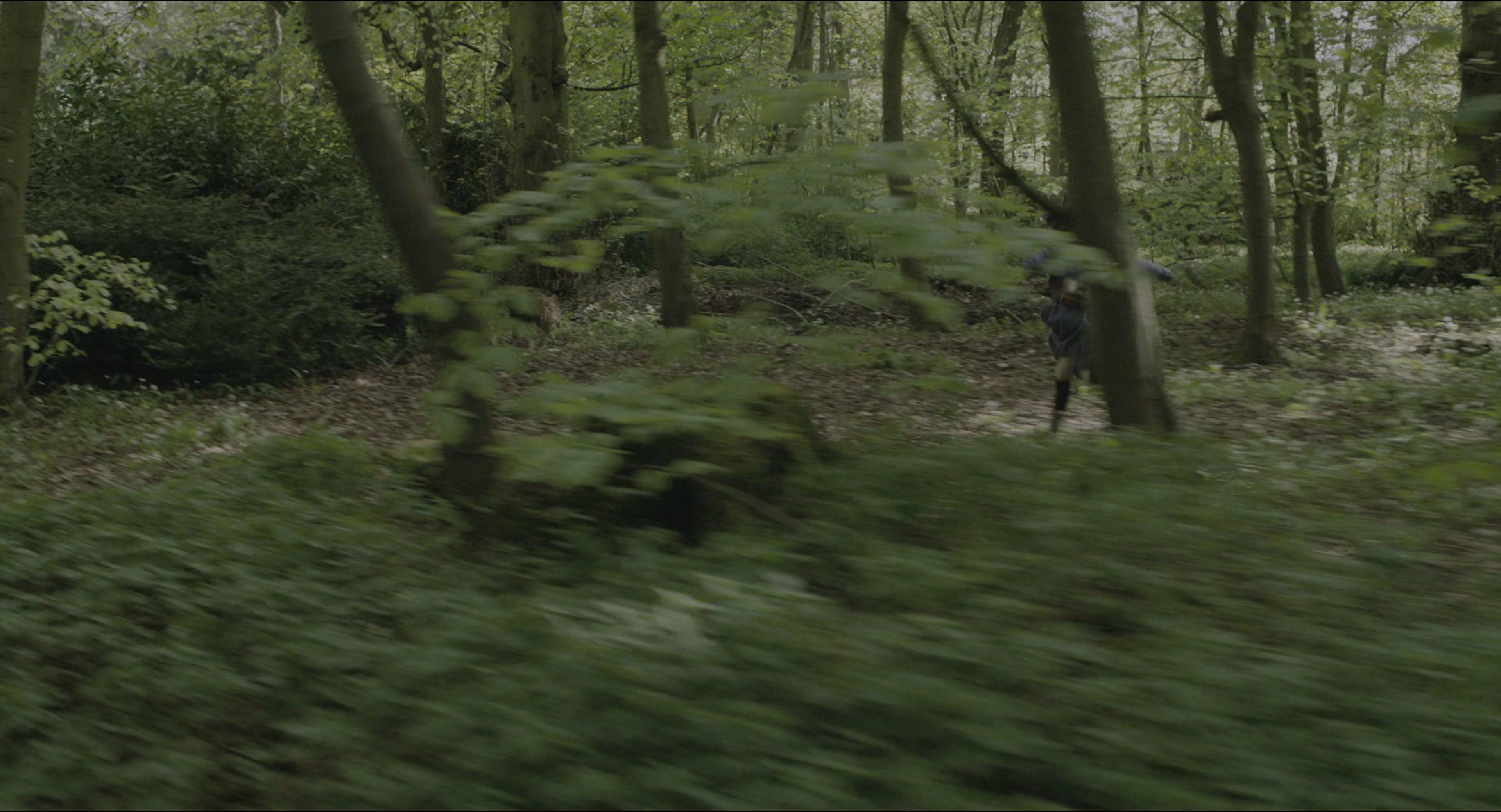 The Secret Garden (2020), wide, 1.85:1 — film still