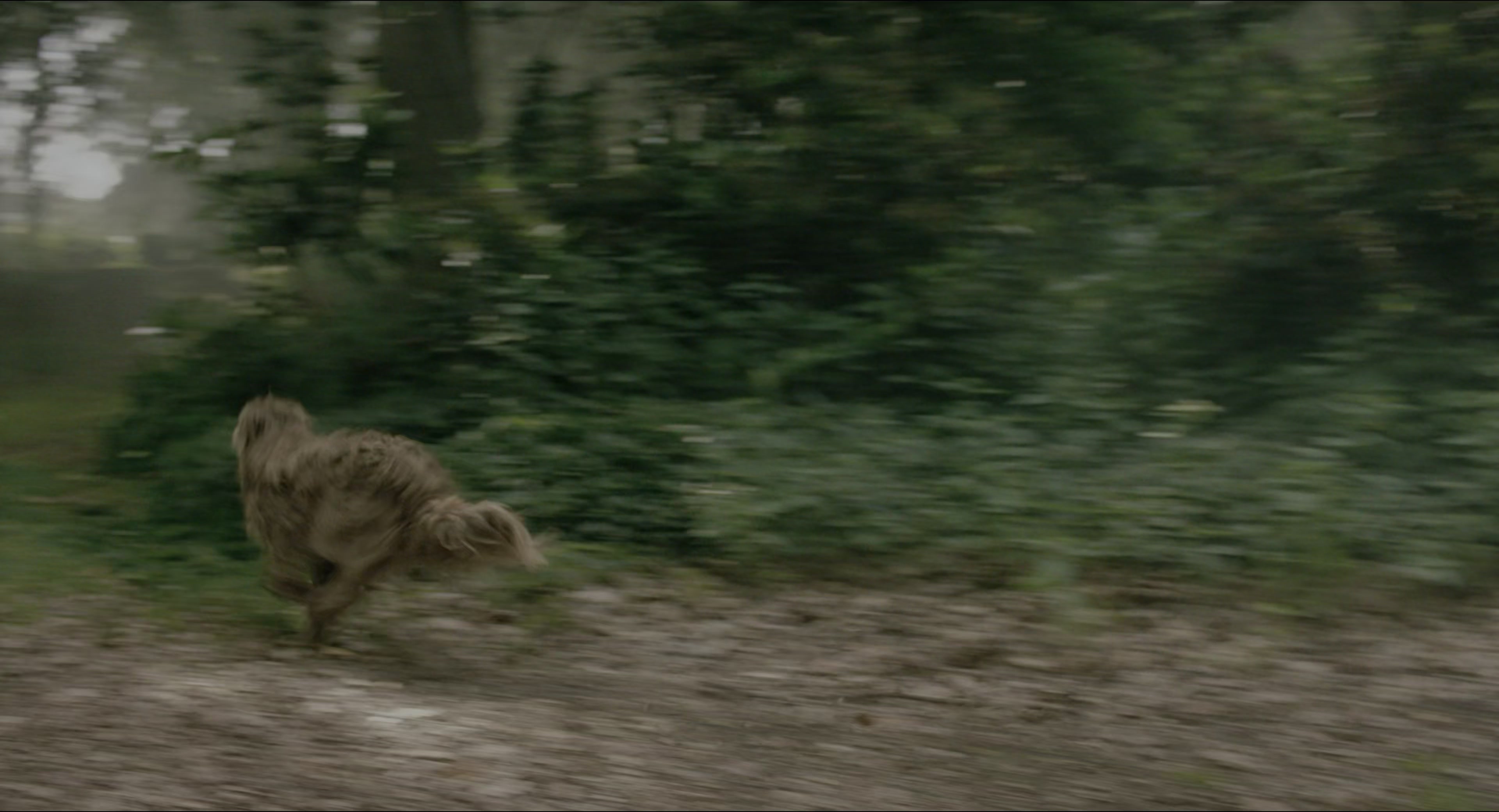 The Secret Garden (2020), unknown, 1.85:1 — film still