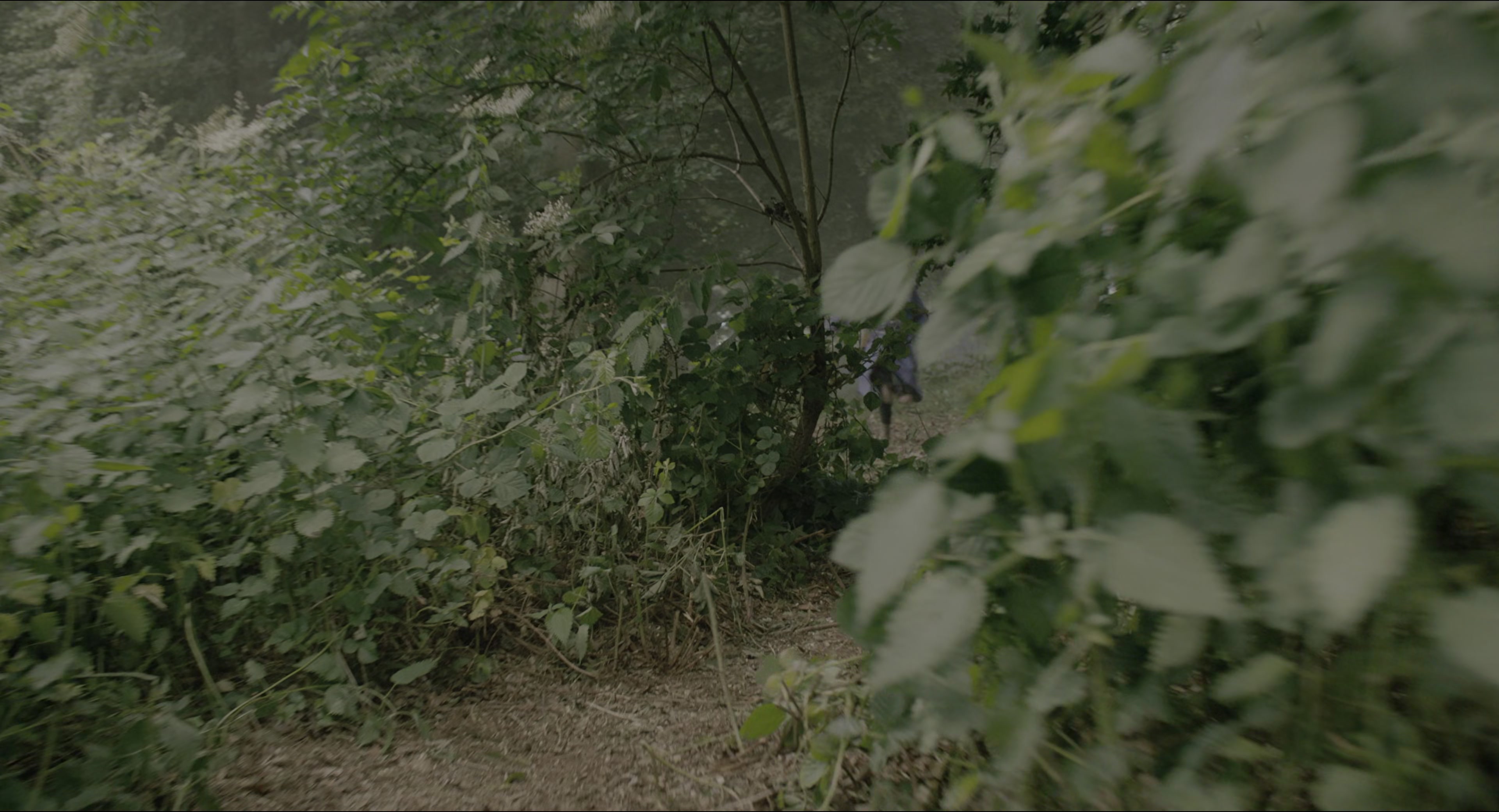 The Secret Garden (2020), wide, 1.85:1 — film still