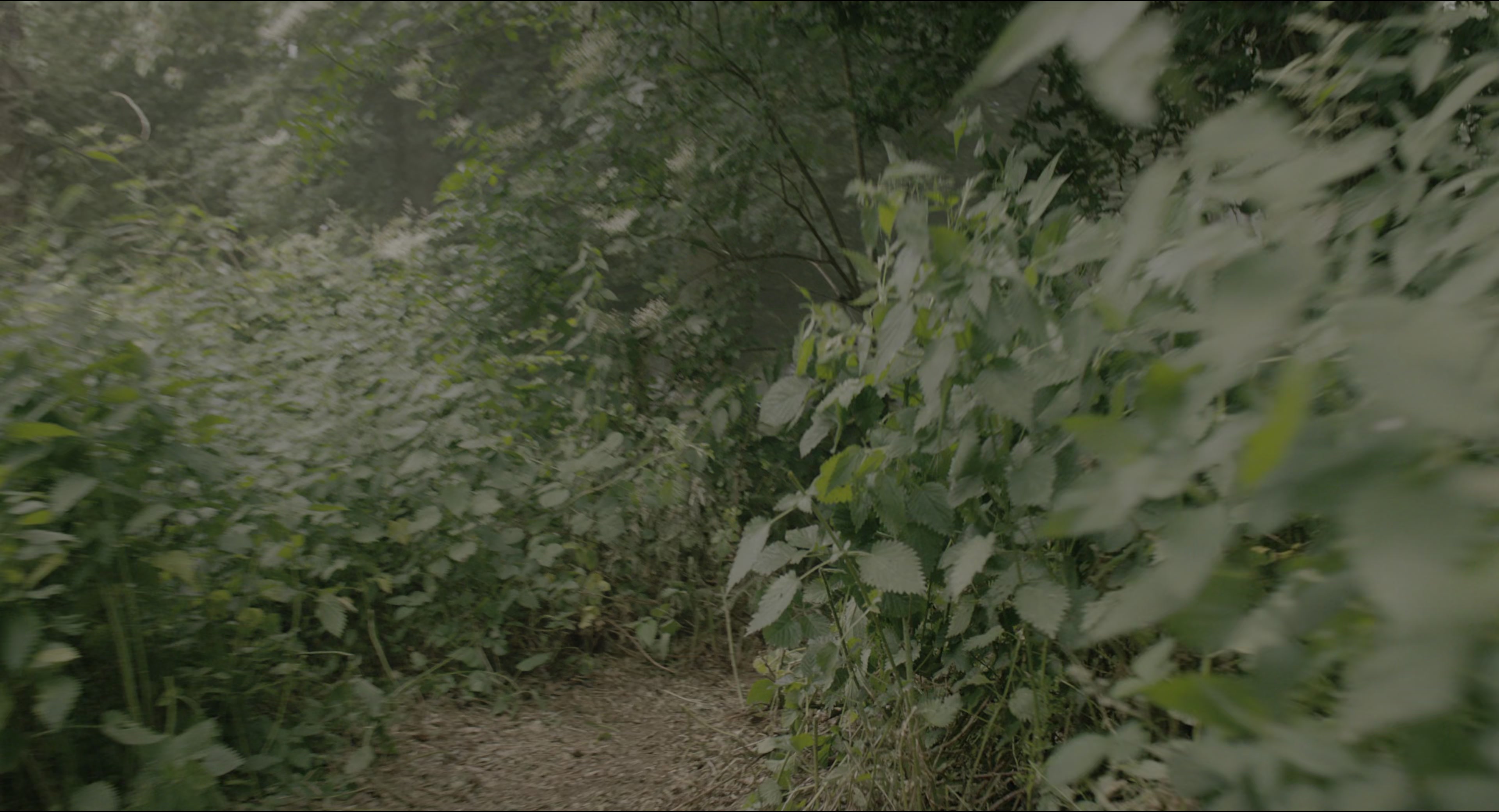 The Secret Garden (2020), wide, 1.85:1 — film still