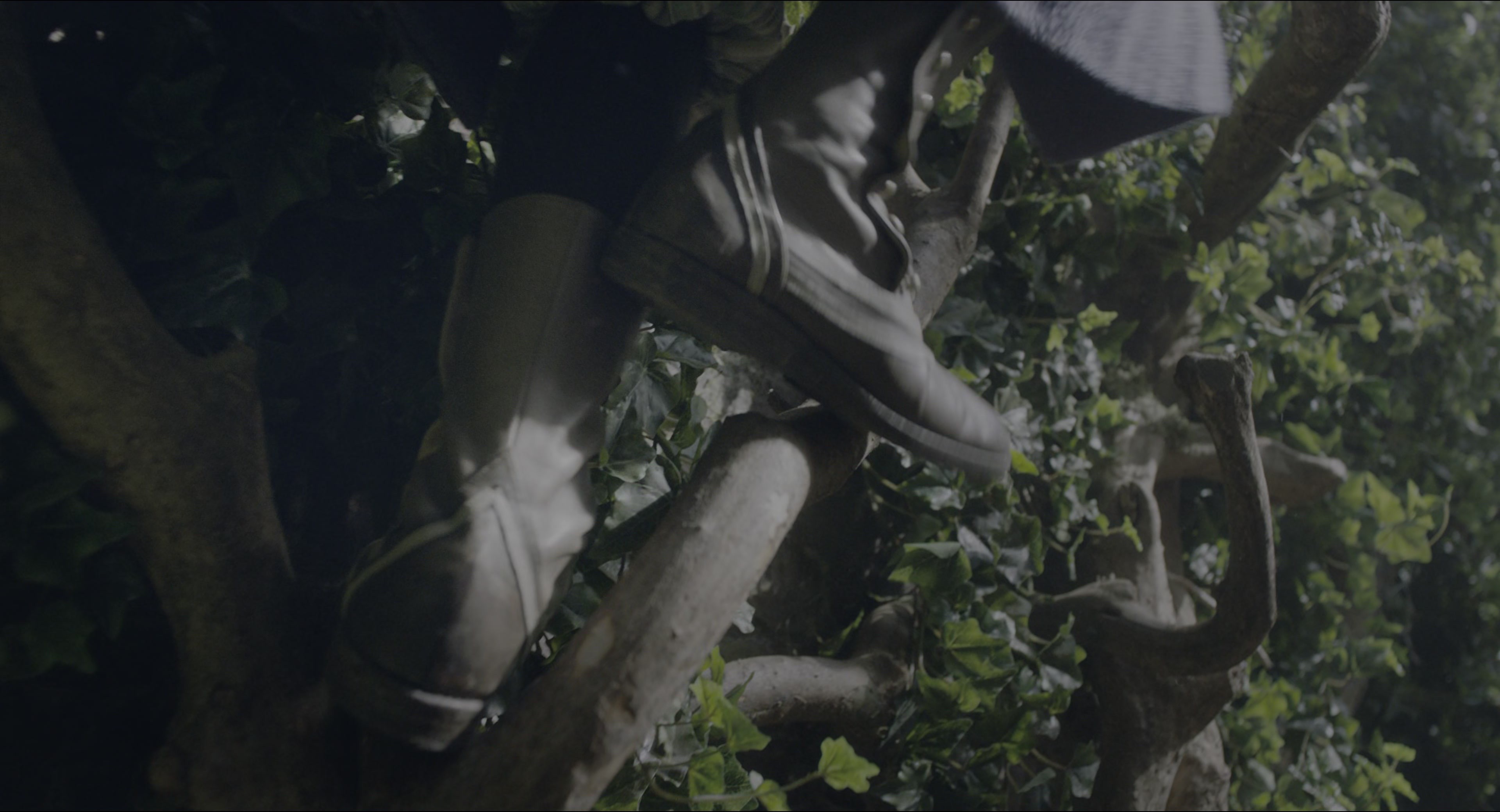 The Secret Garden (2020), wide, 1.85:1 — film still