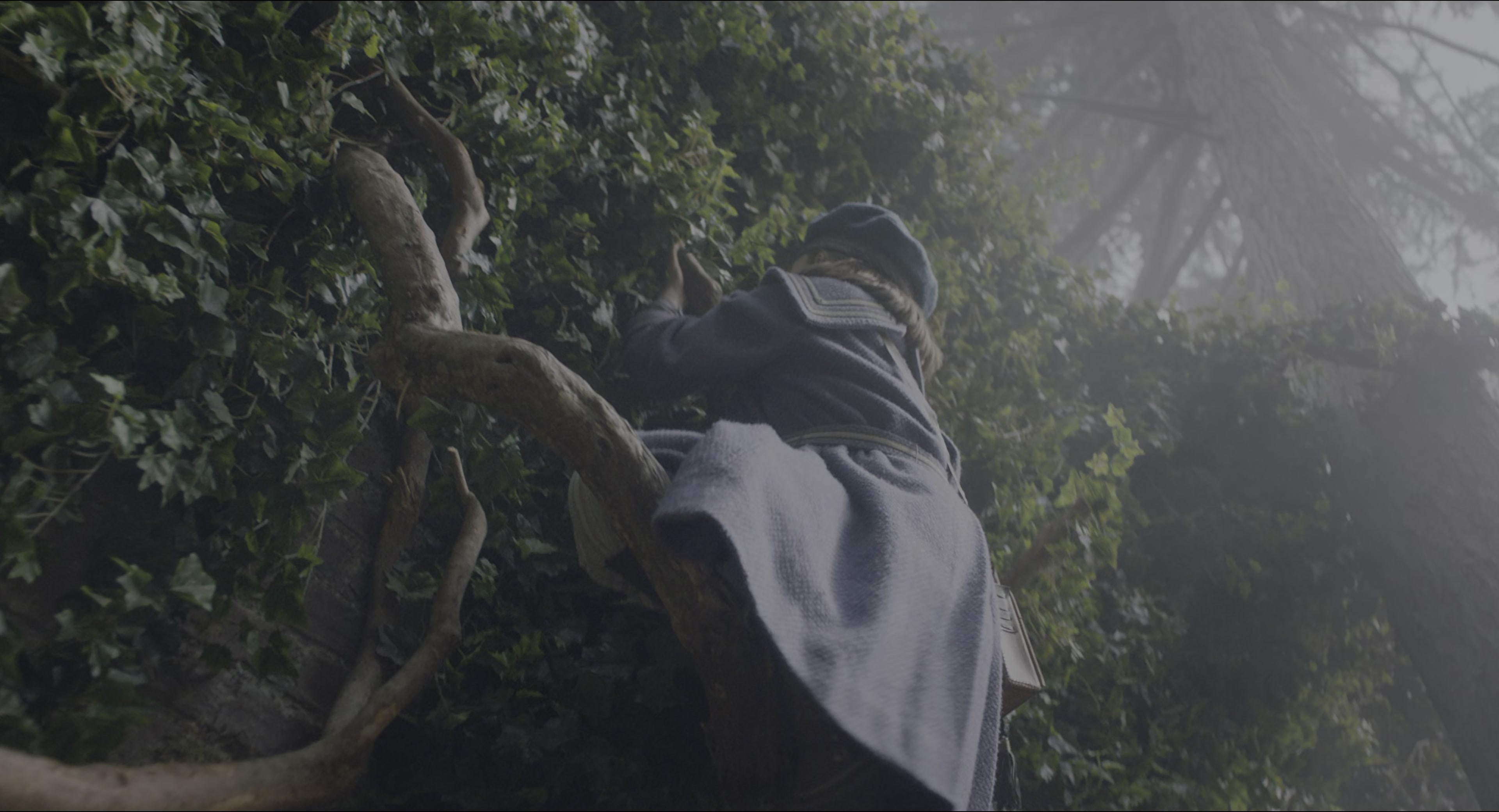 The Secret Garden (2020), wide, 1.85:1 — film still