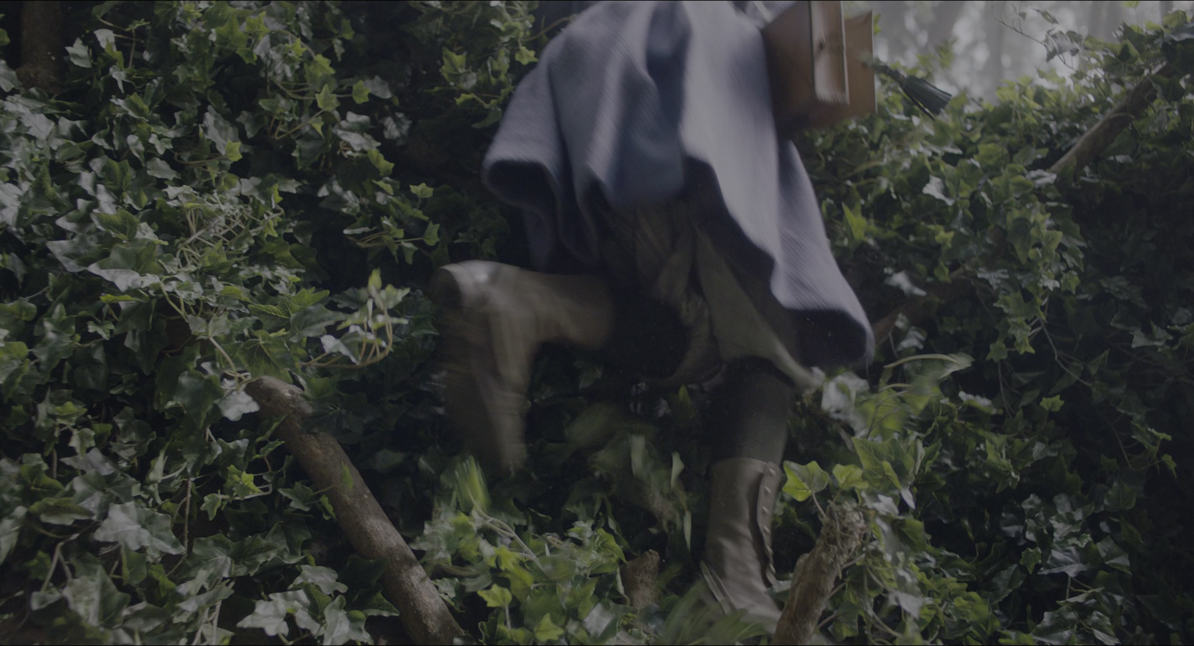 The Secret Garden (2020), wide, 1.85:1 — film still