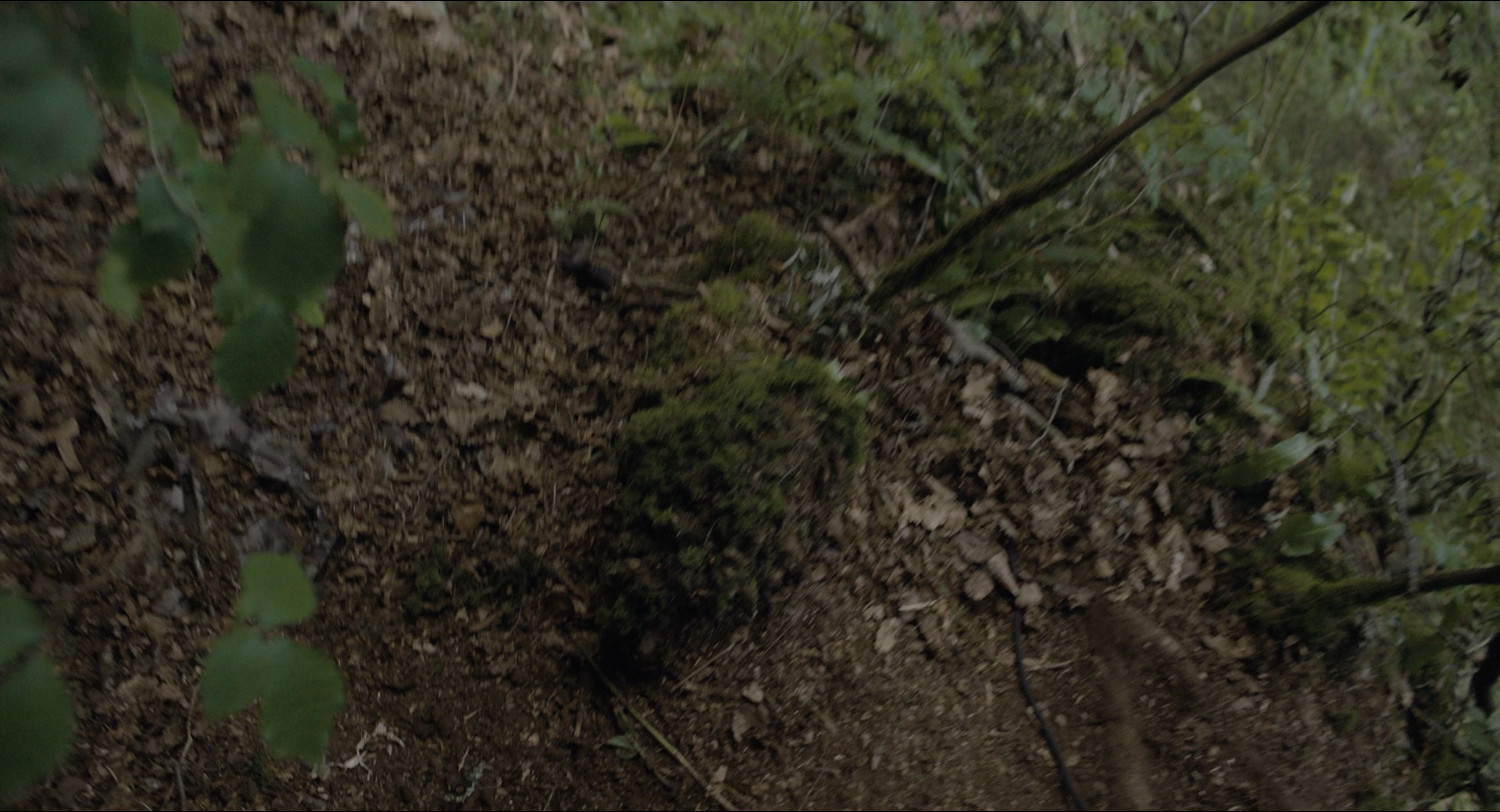 The Secret Garden (2020), wide, 1.85:1 — film still