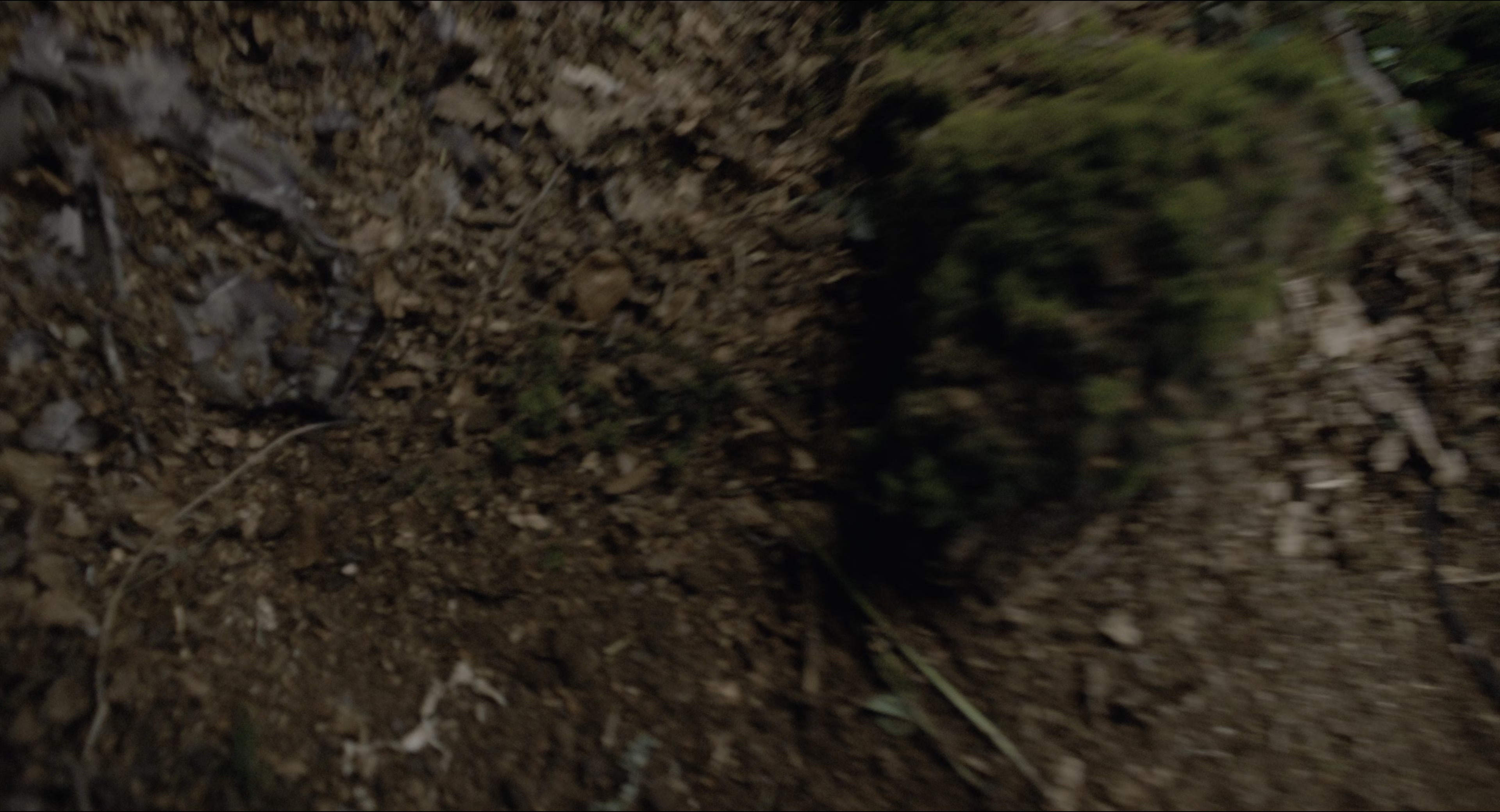 The Secret Garden (2020), wide, 1.85:1 — film still