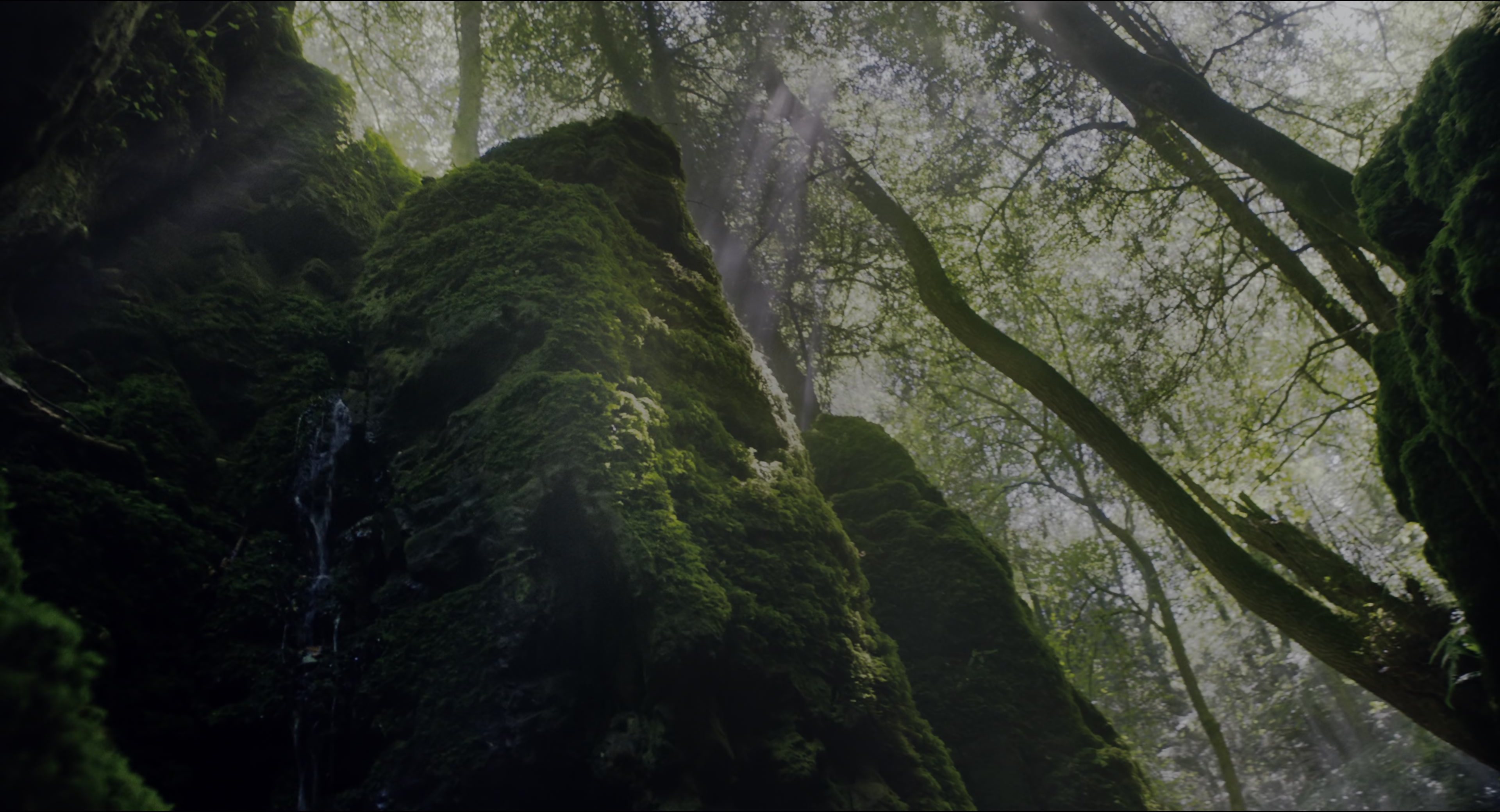 The Secret Garden (2020), wide, 1.85:1 — film still