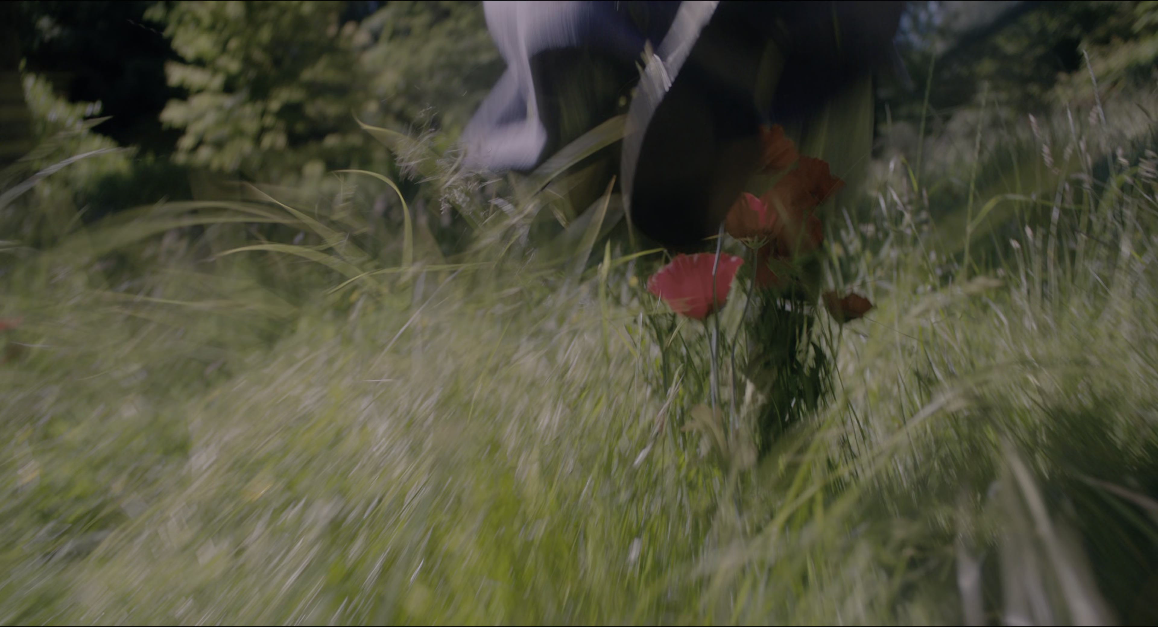 The Secret Garden (2020), wide, 1.85:1 — film still