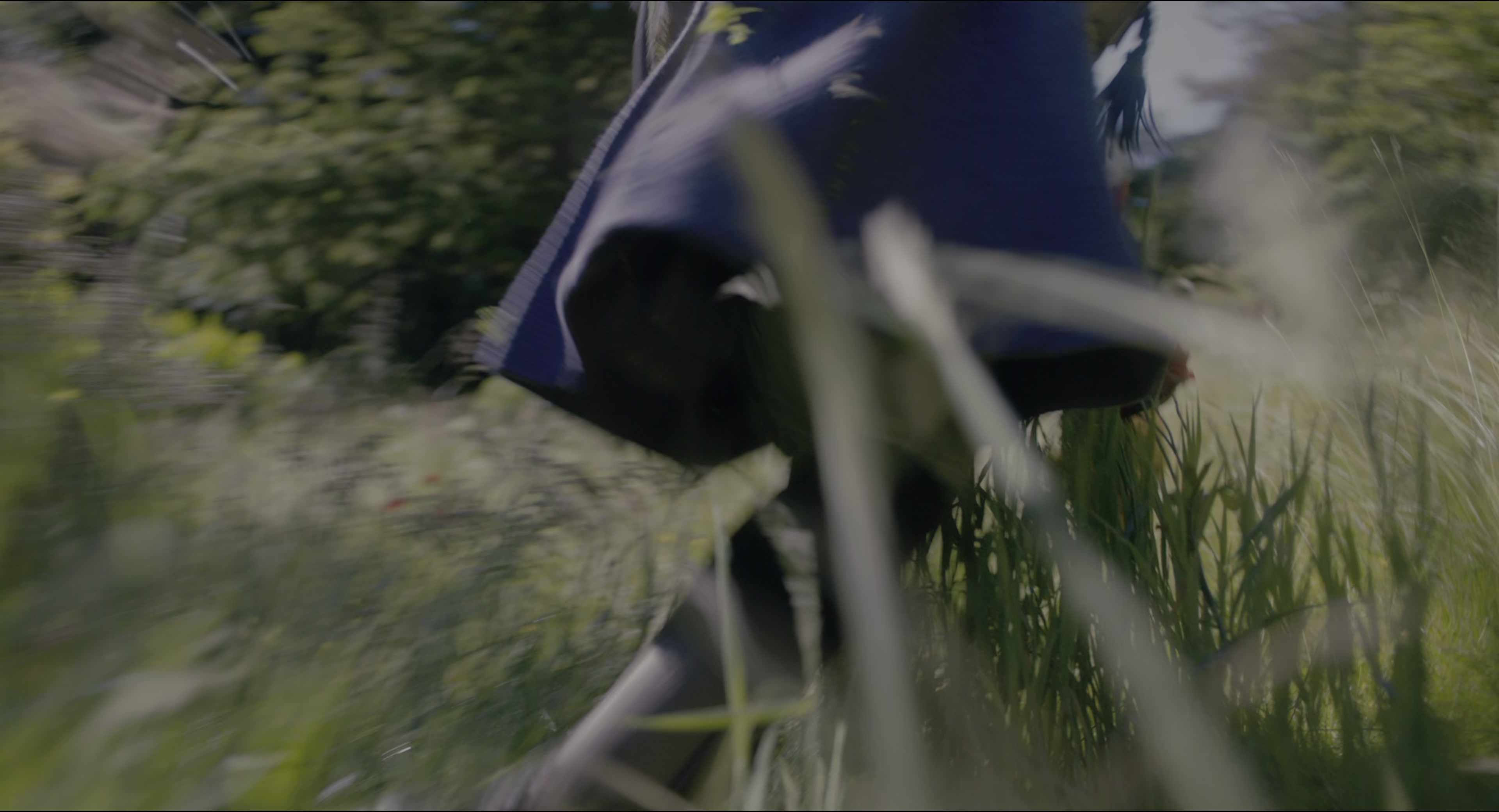 The Secret Garden (2020), wide, 1.85:1 — film still