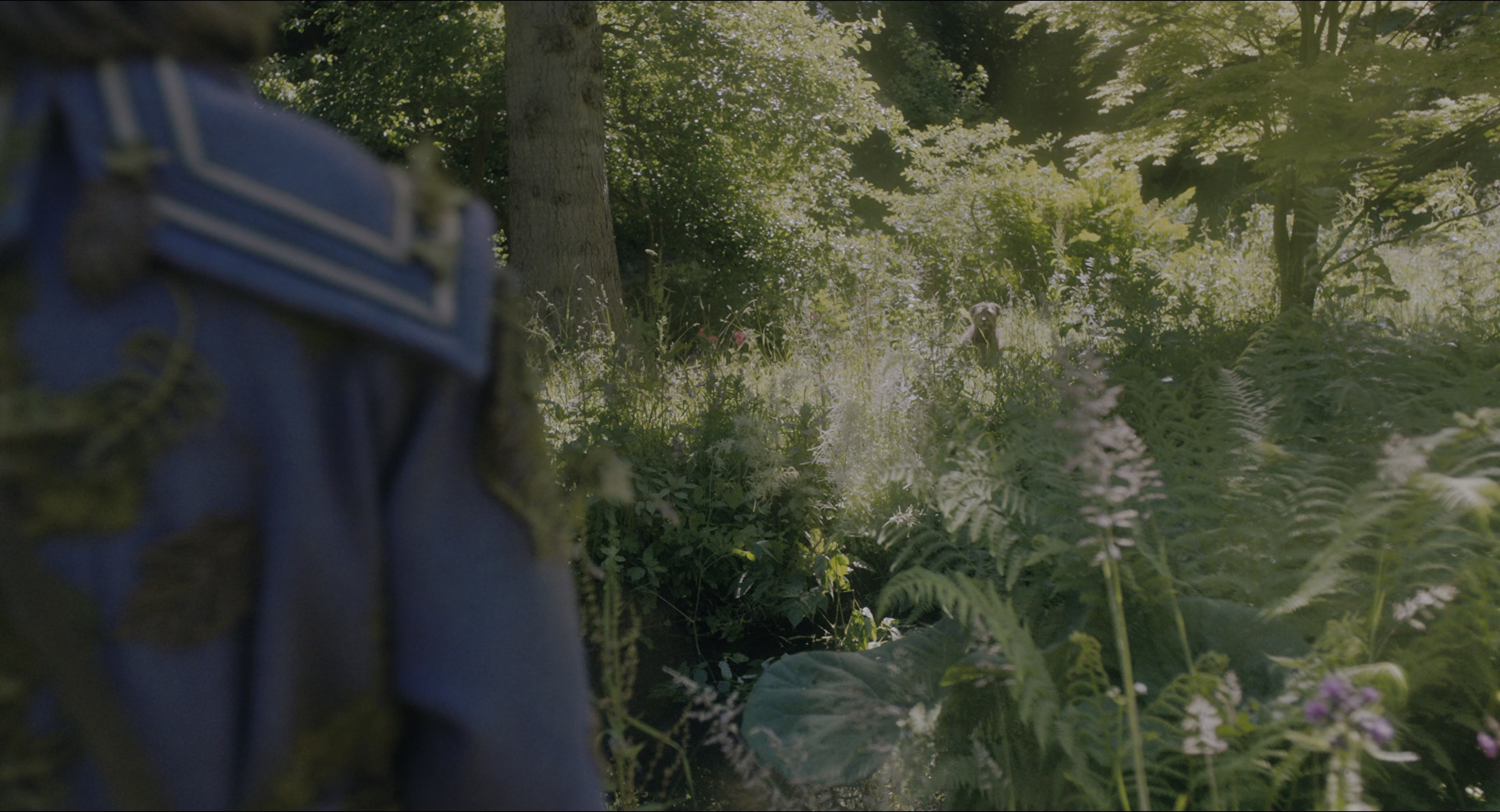 The Secret Garden (2020), wide, 1.85:1 — film still