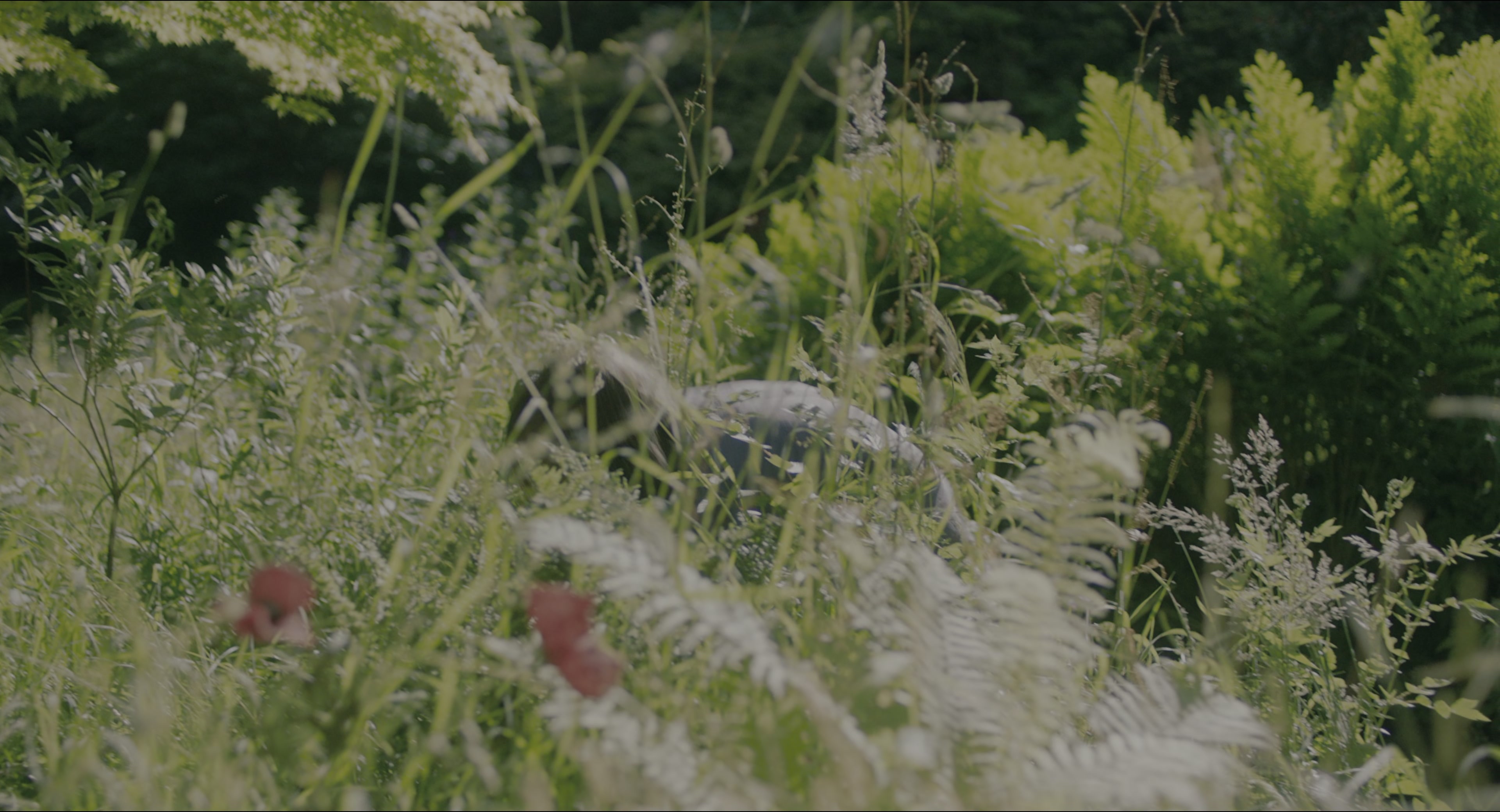 The Secret Garden (2020), wide, 1.85:1 — film still