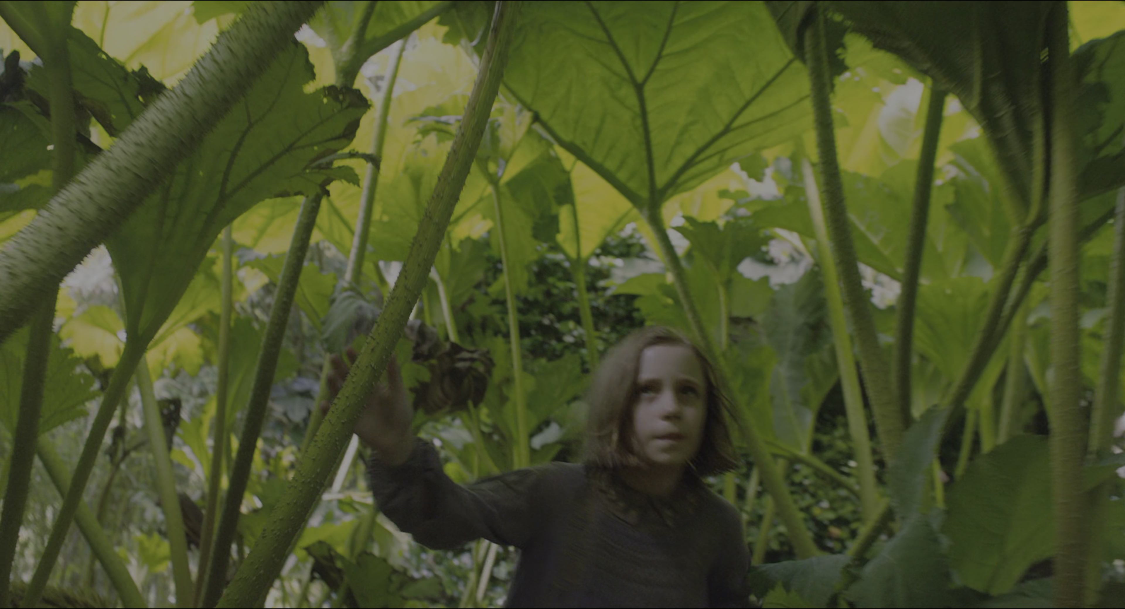 The Secret Garden (2020), wide, 1.85:1 — film still