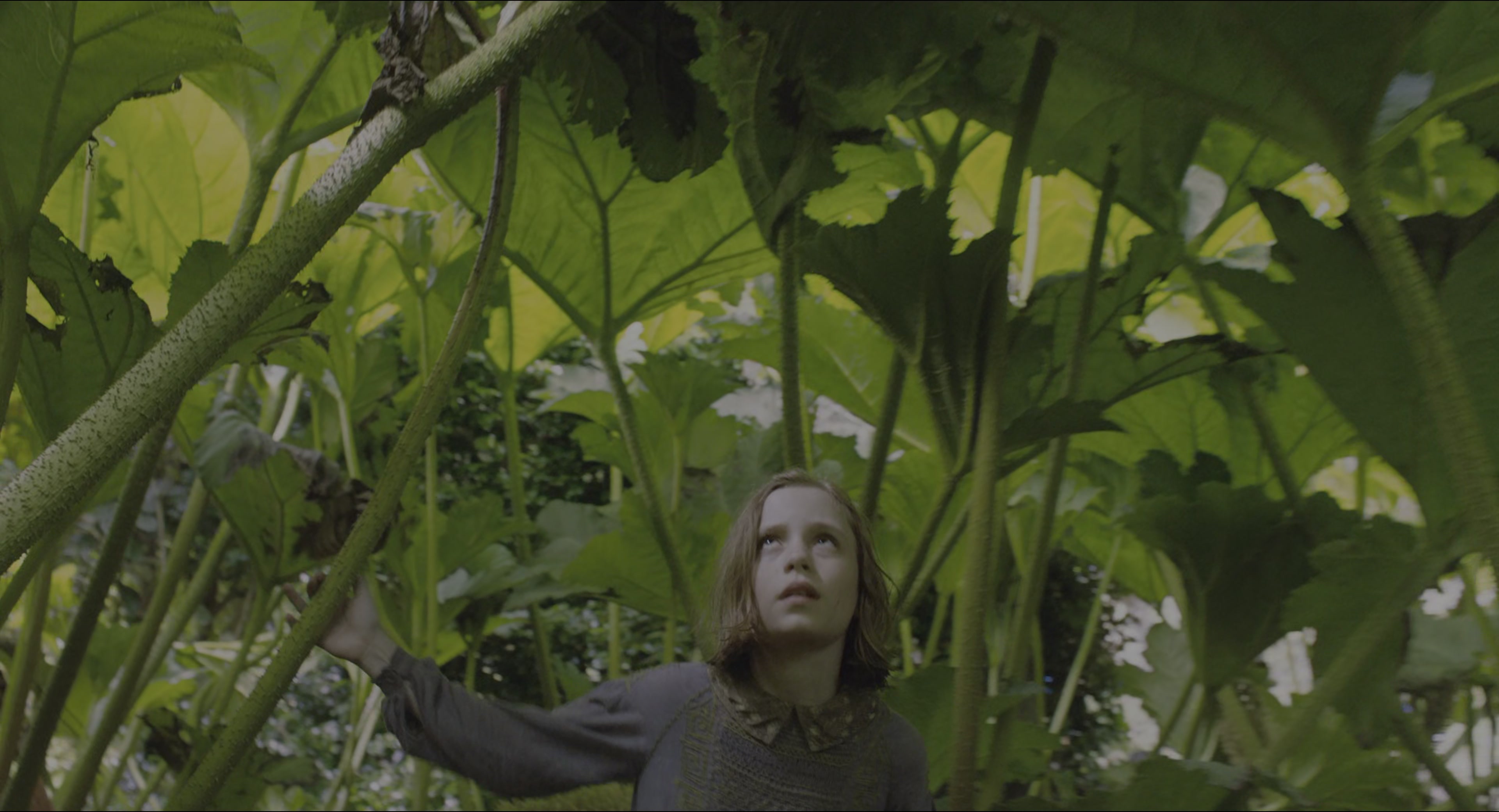 The Secret Garden (2020), wide, 1.85:1 — film still