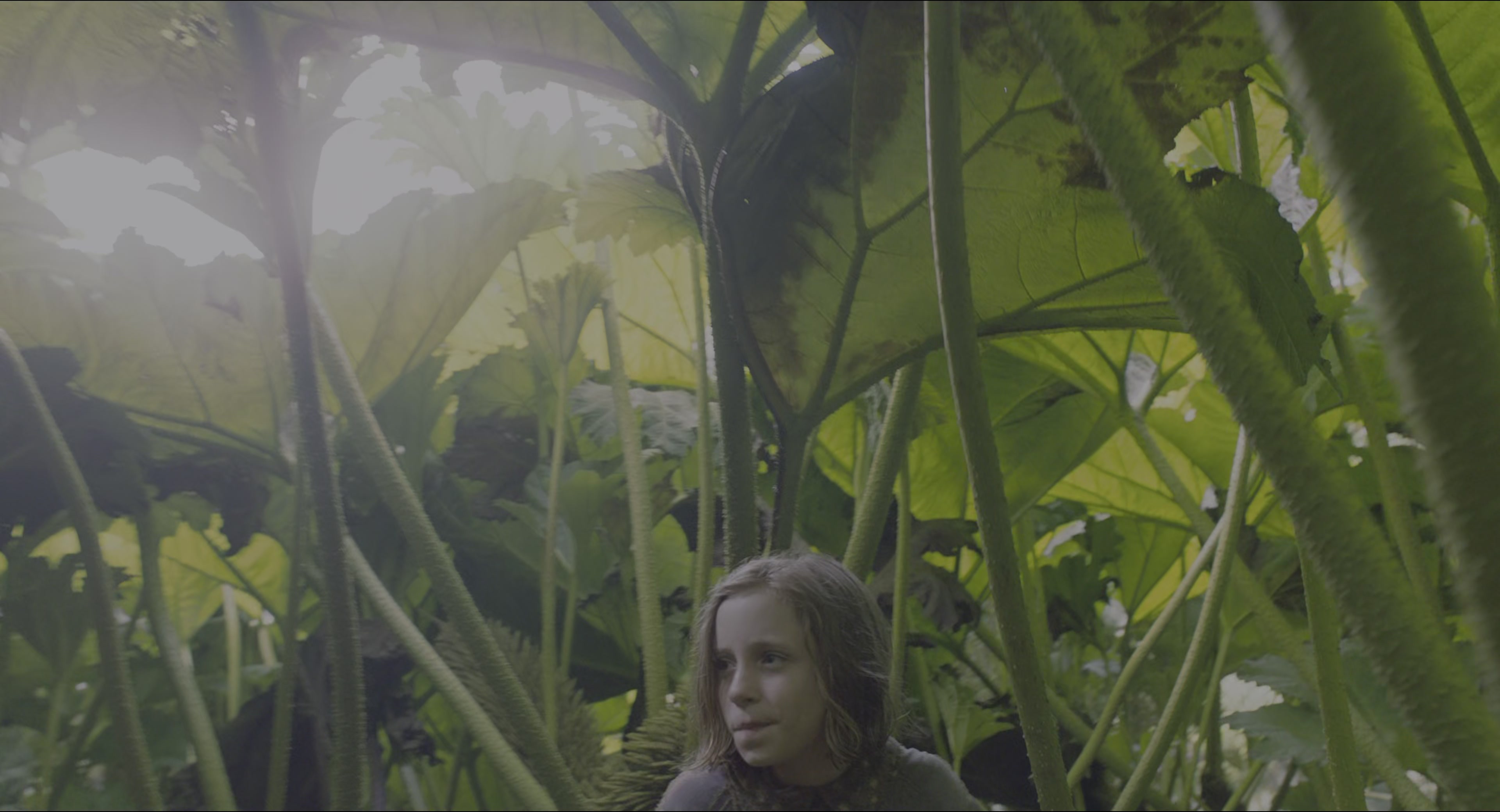 The Secret Garden (2020), wide, 1.85:1 — film still