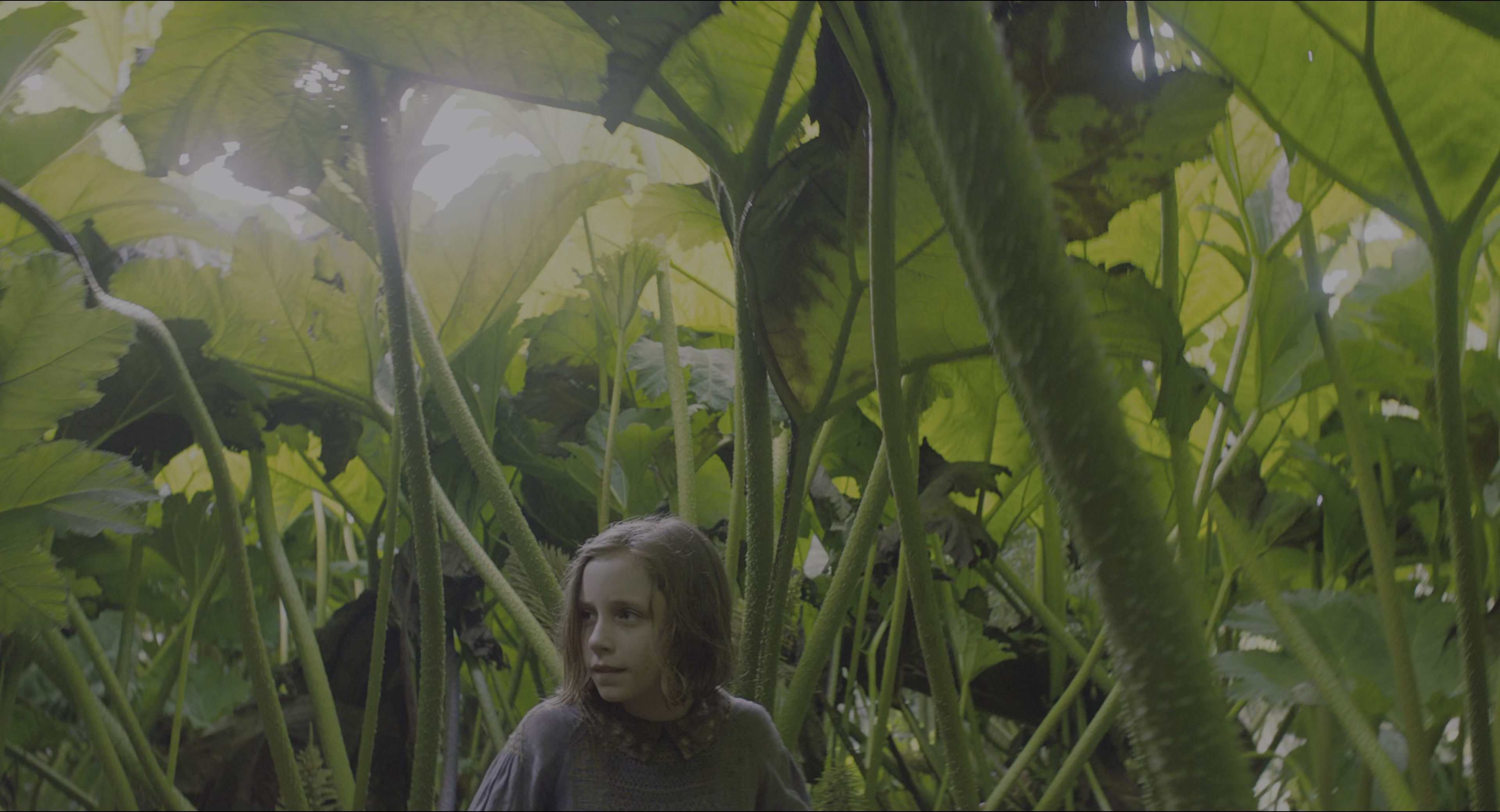 The Secret Garden (2020), wide, 1.85:1 — film still