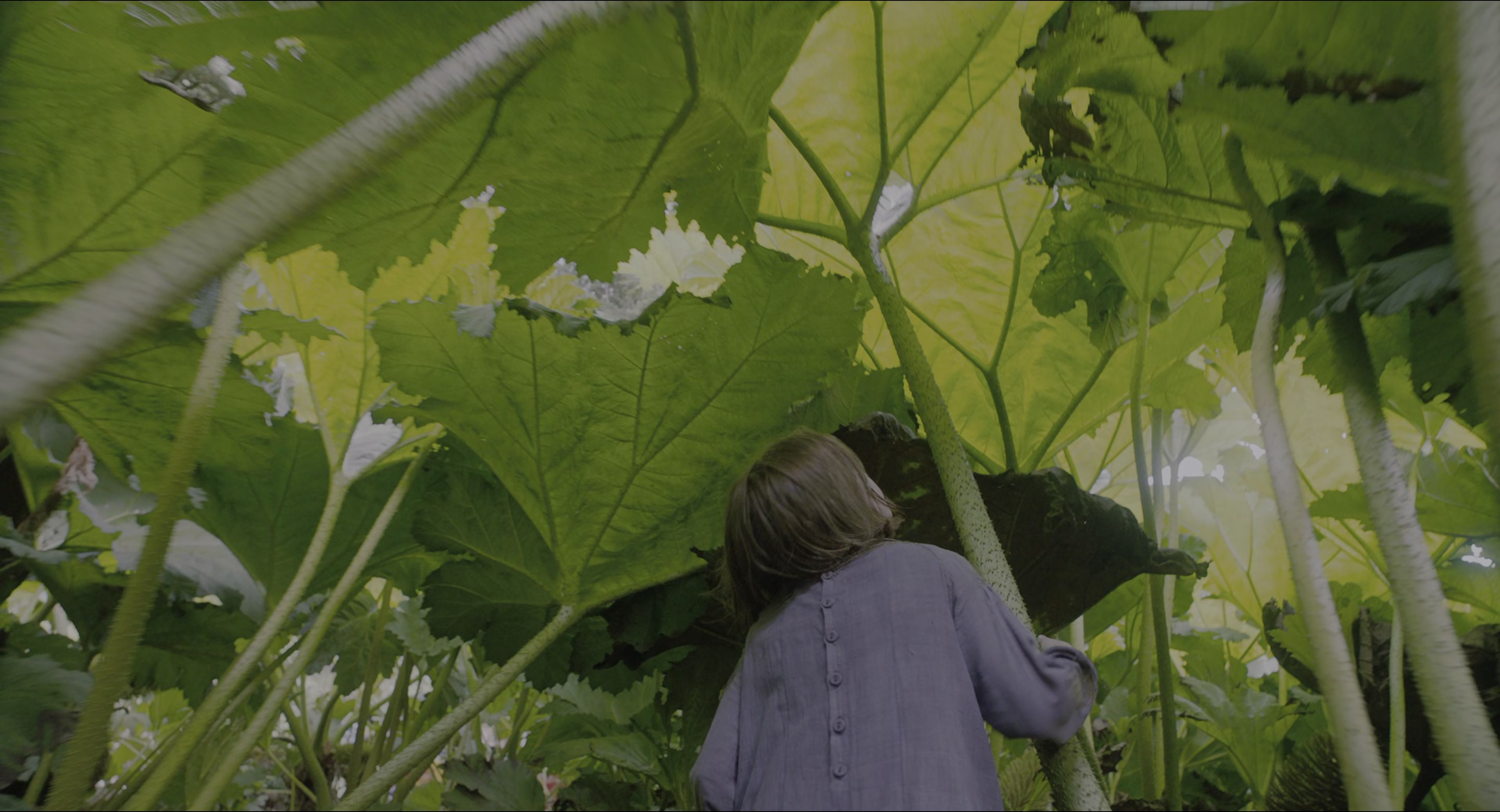 The Secret Garden (2020), wide, 1.85:1 — film still