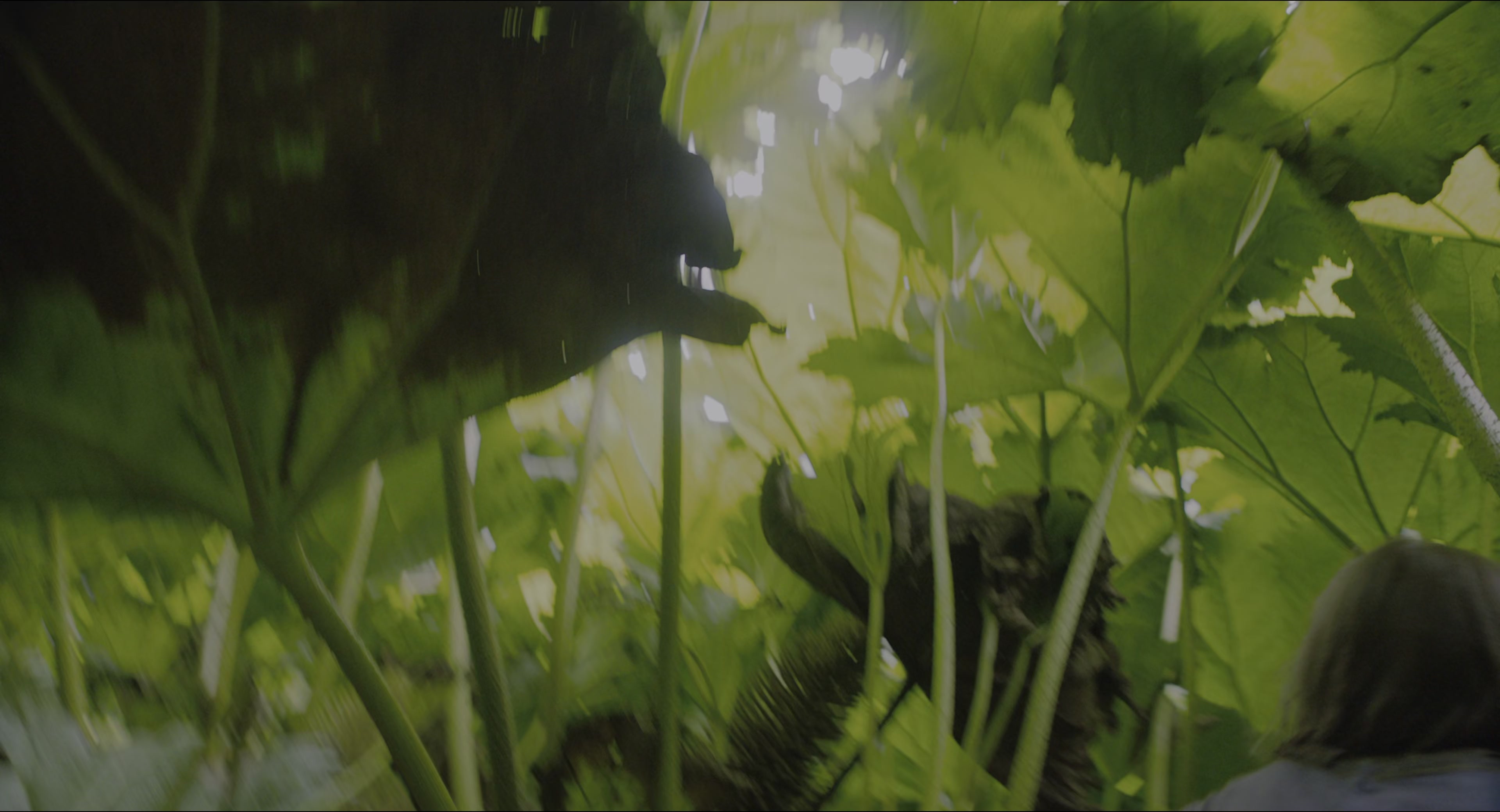 The Secret Garden (2020), wide, 1.85:1 — film still
