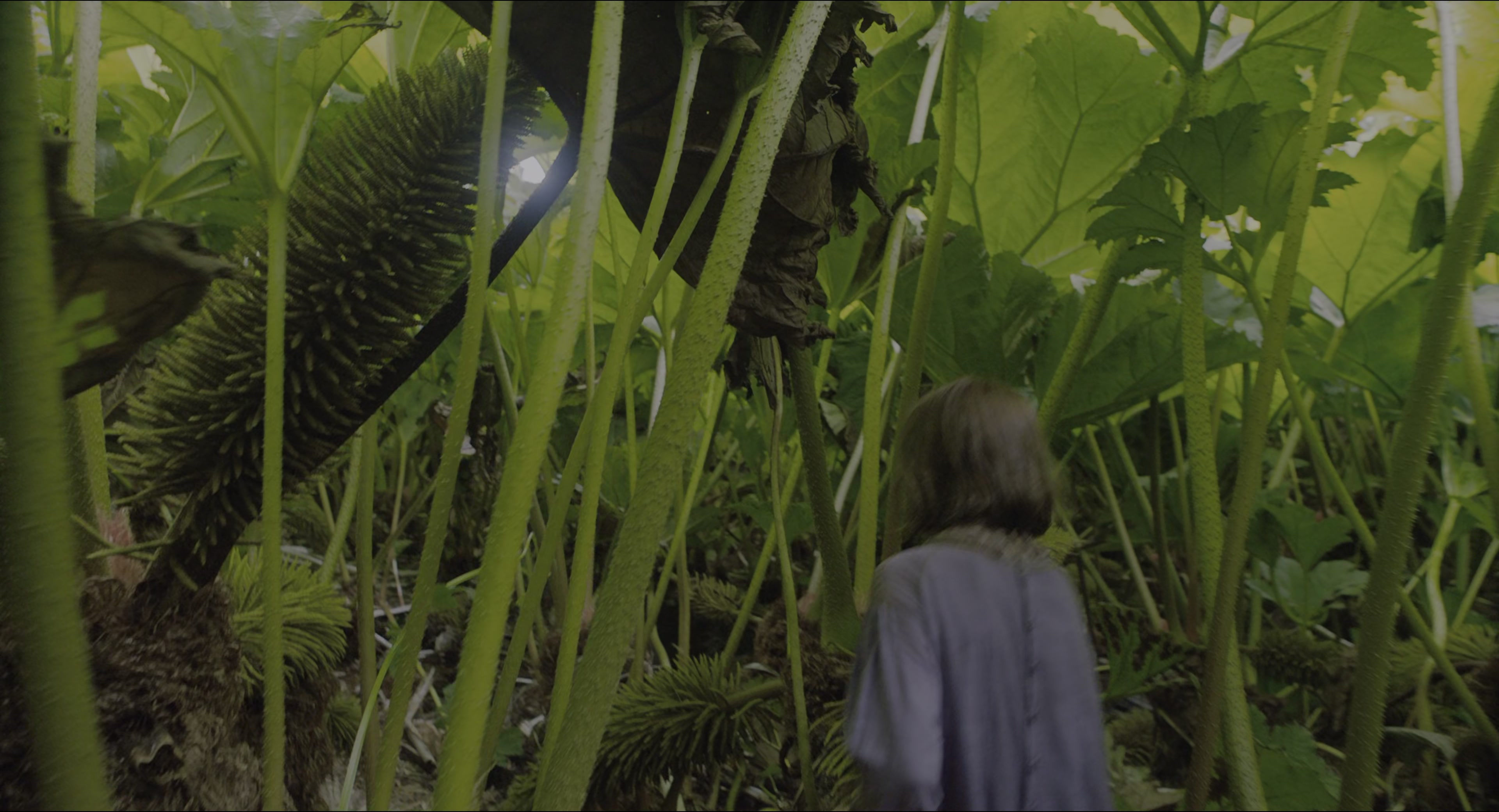 The Secret Garden (2020), wide, 1.85:1 — film still