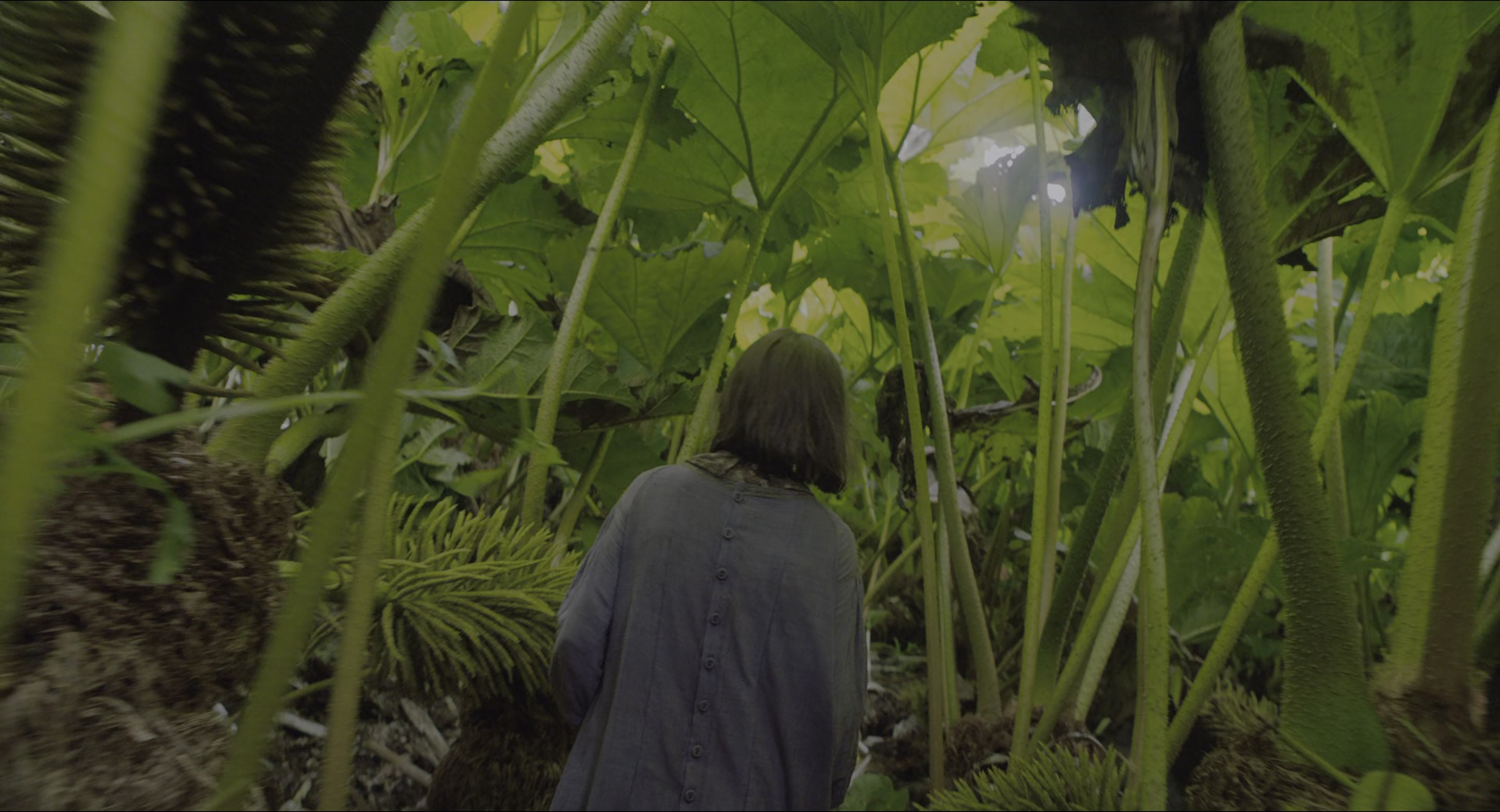 The Secret Garden (2020), wide, 1.85:1 — film still