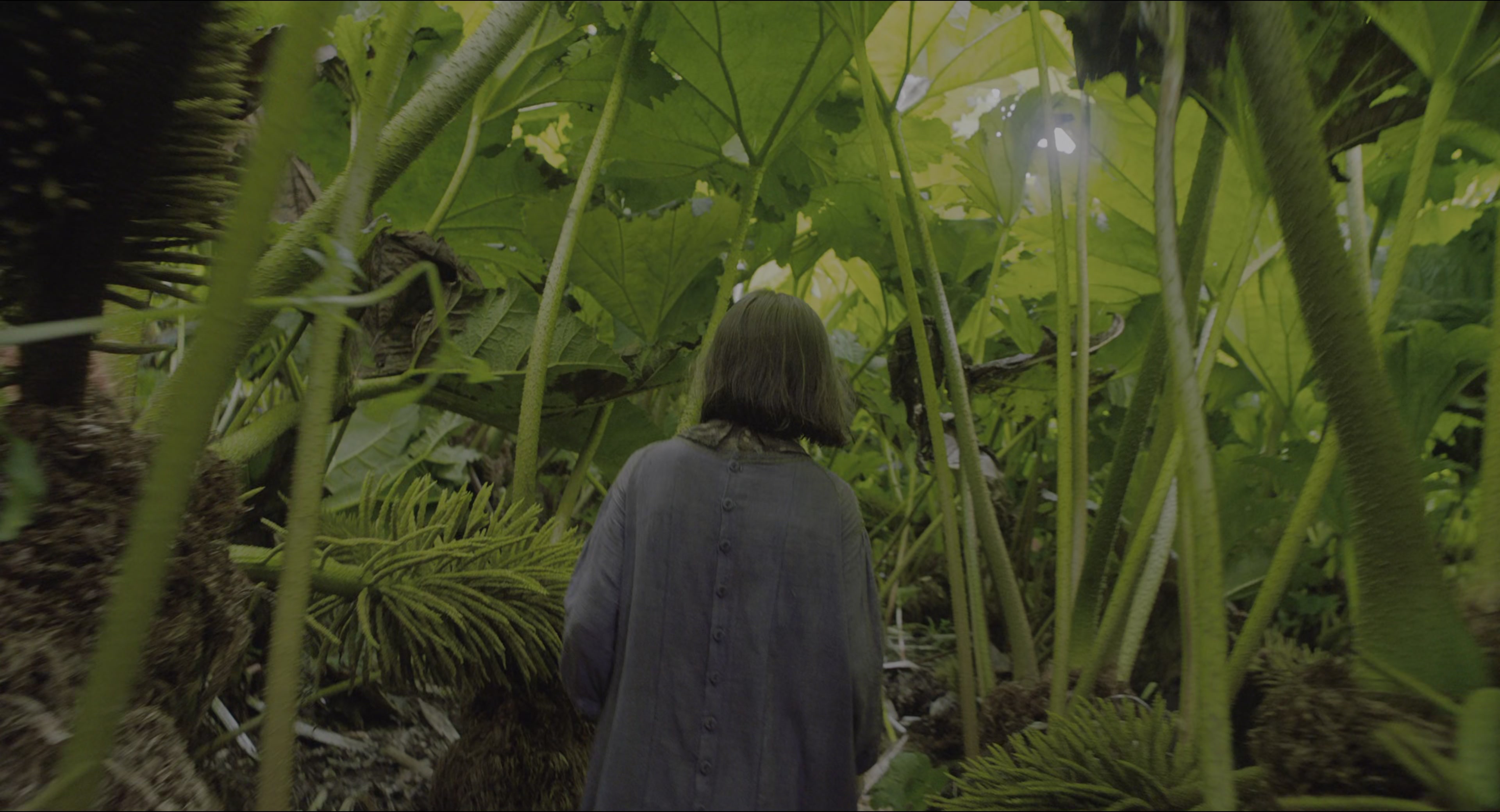 The Secret Garden (2020), medium, 1.85:1 — film still