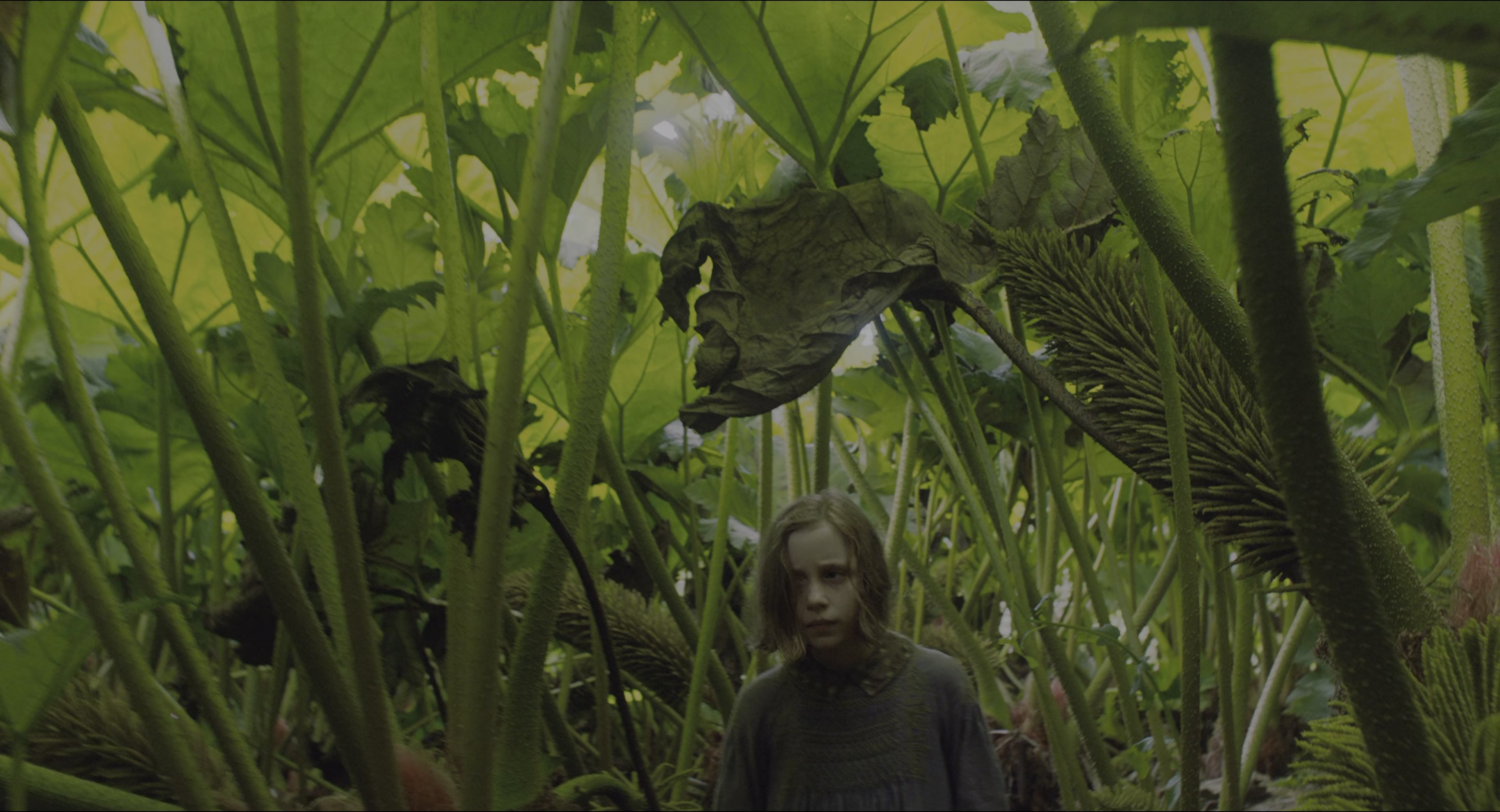 The Secret Garden (2020), wide, 1.85:1 — film still