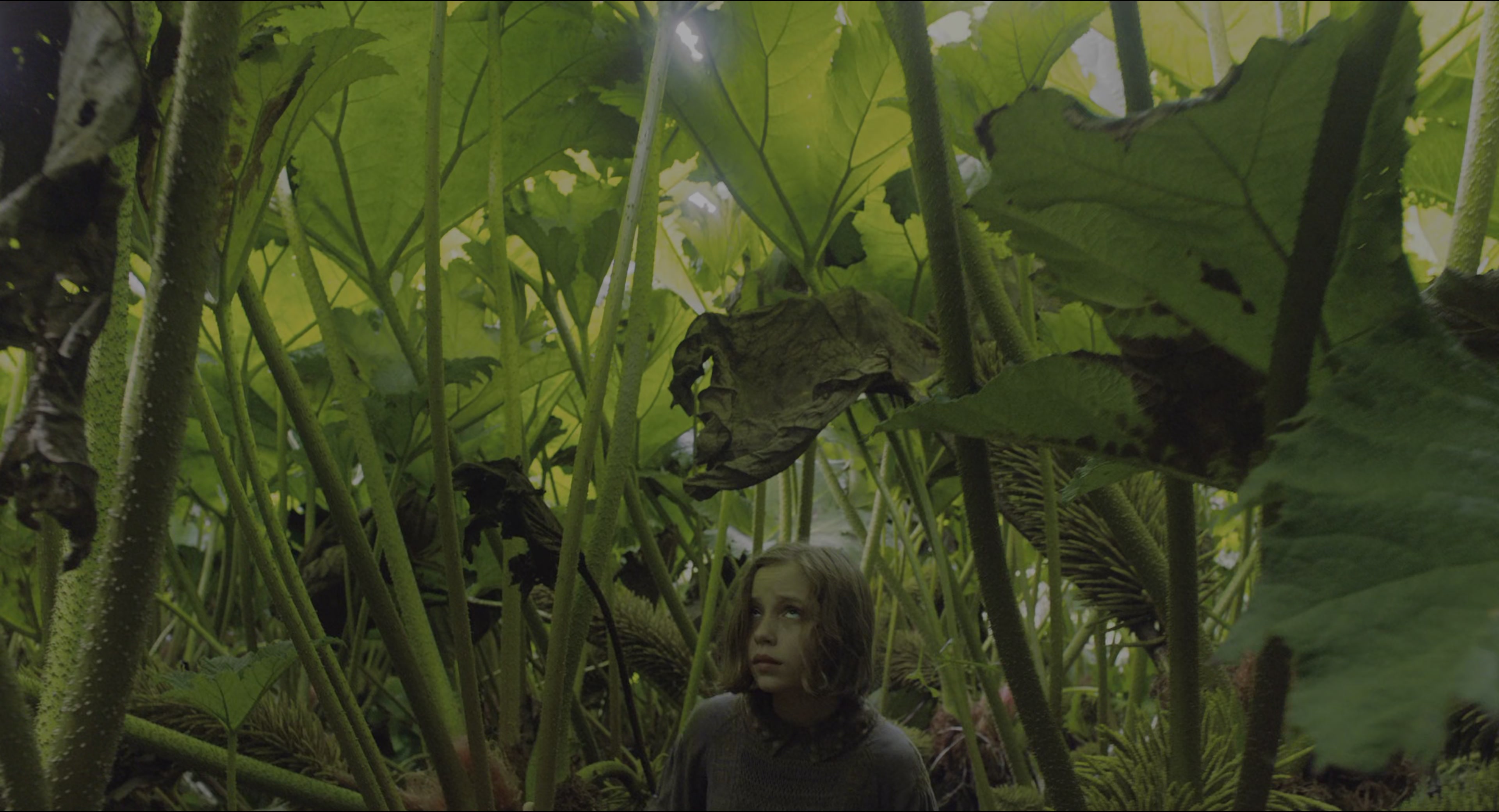 The Secret Garden (2020), wide, 1.85:1 — film still