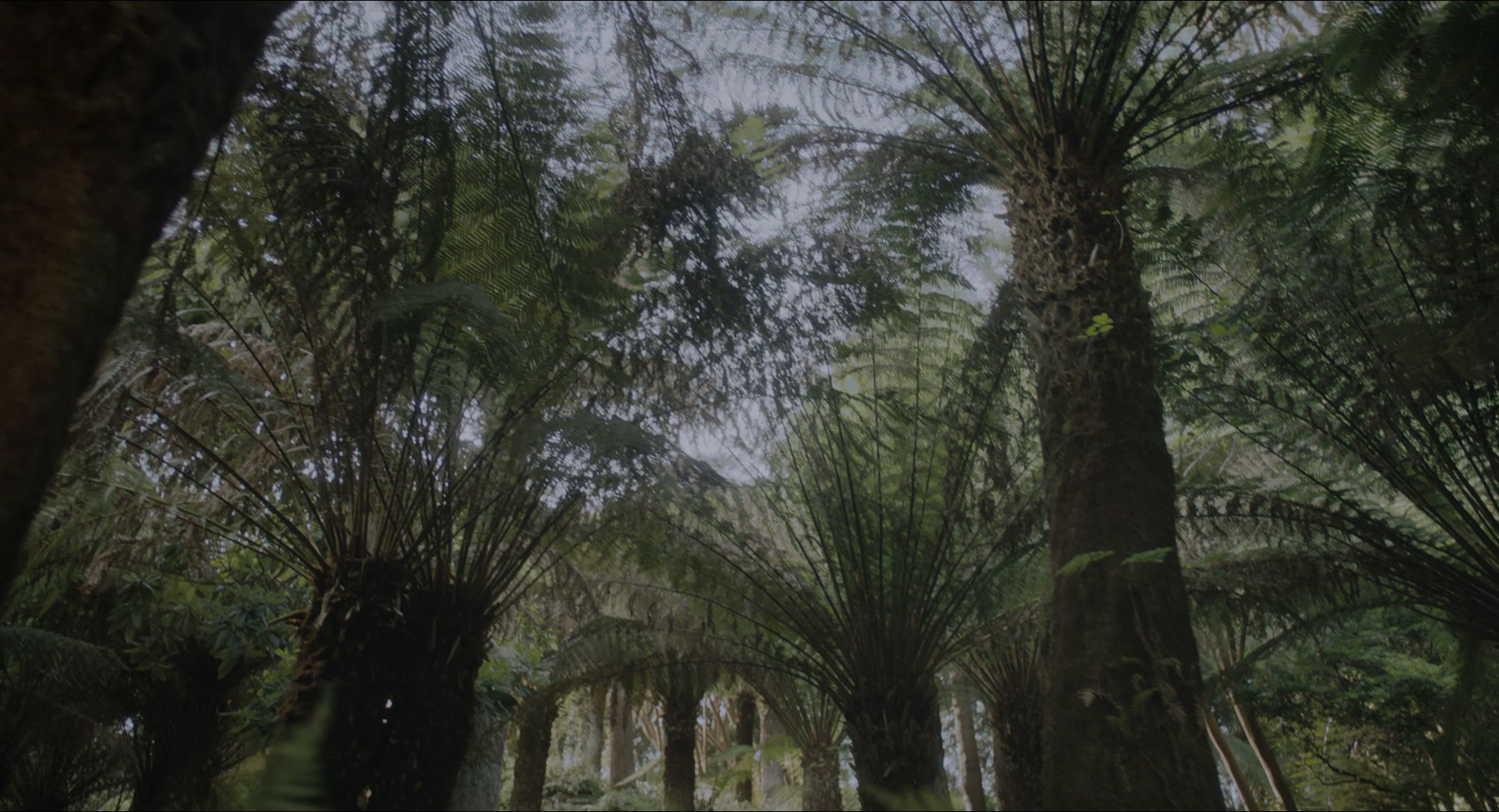 The Secret Garden (2020), wide, 1.85:1 — film still
