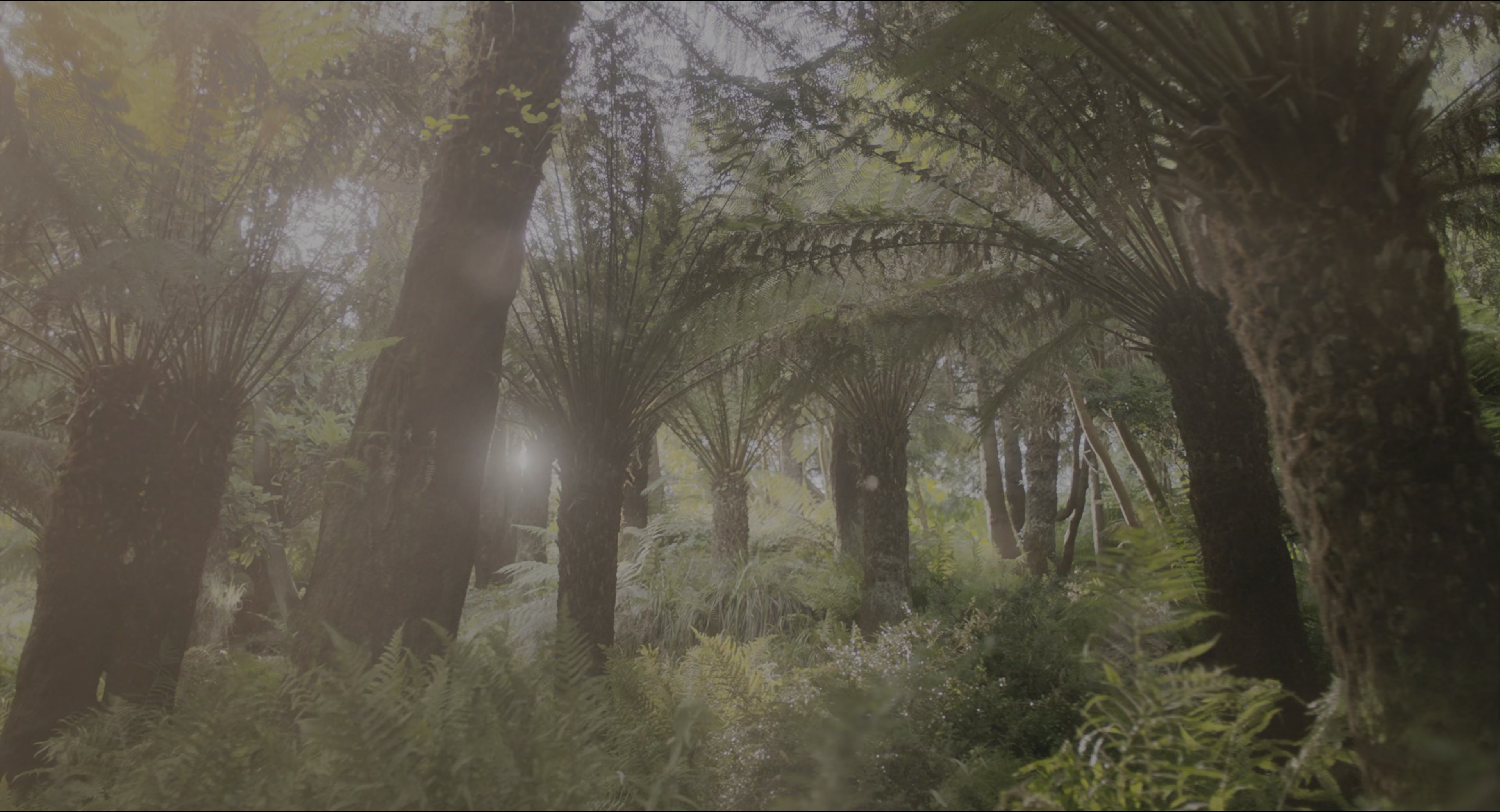The Secret Garden (2020), wide, 1.85:1 — film still