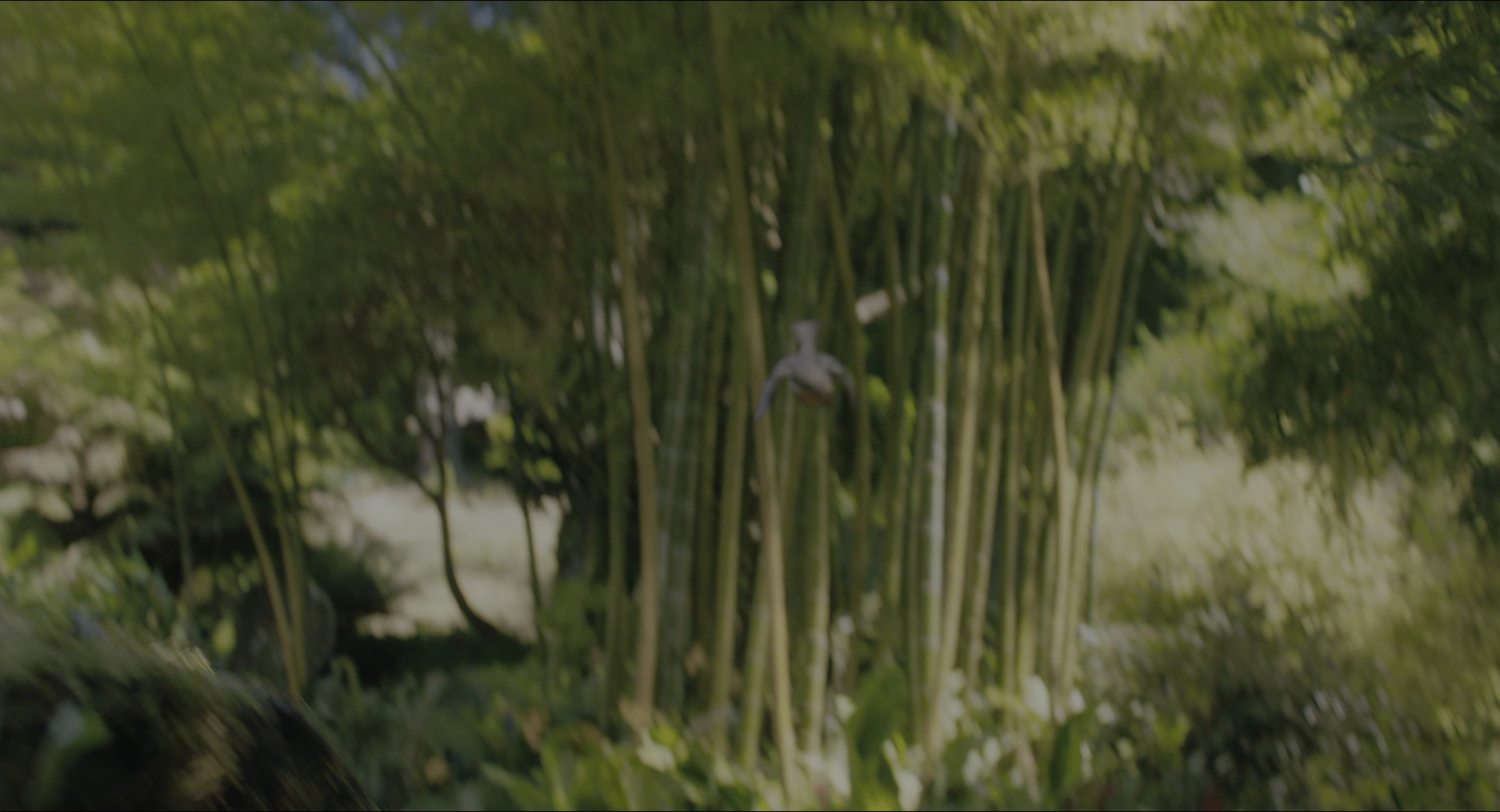 The Secret Garden (2020), wide, 1.85:1 — film still
