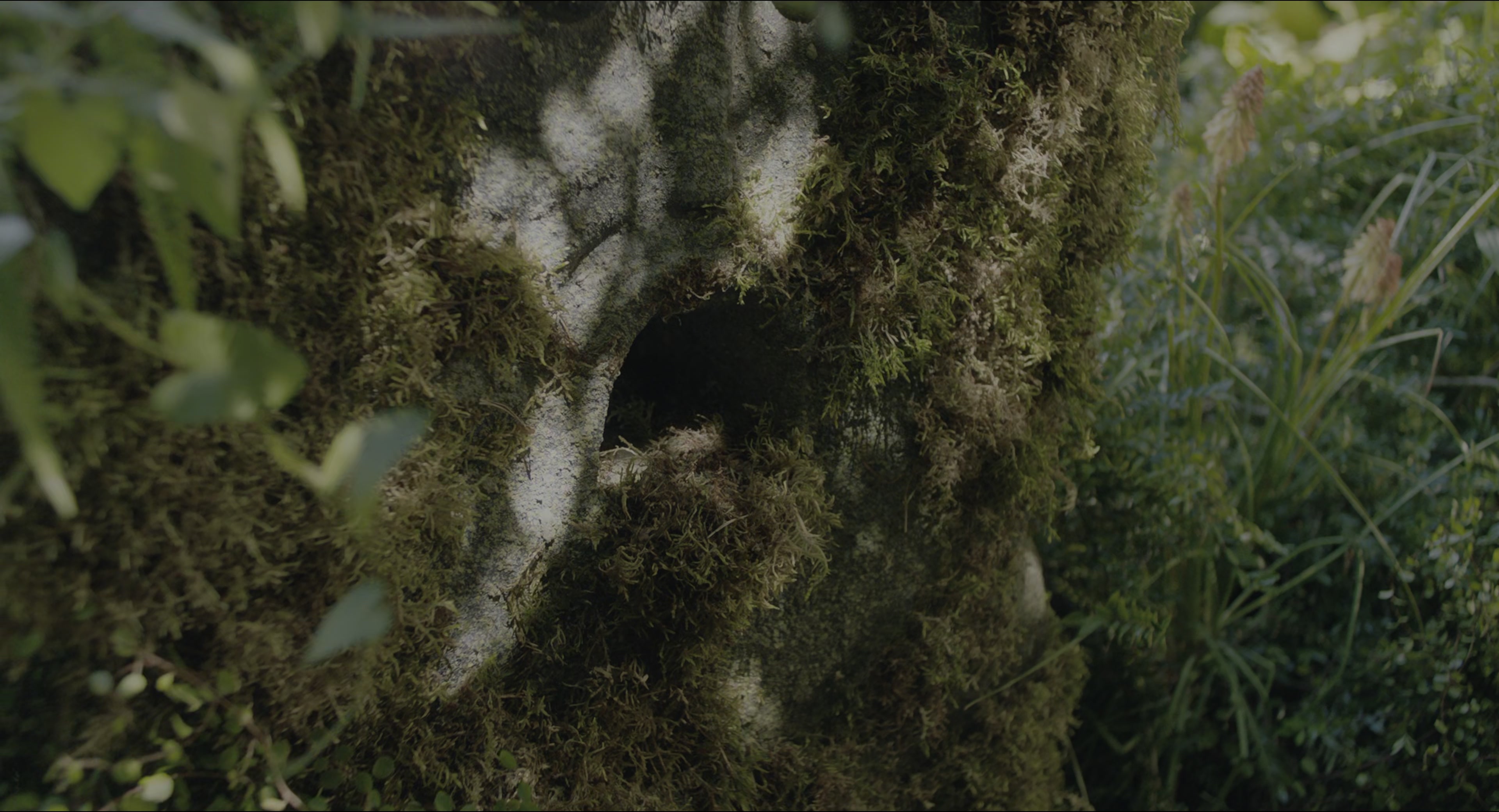 The Secret Garden (2020), wide, 1.85:1 — film still