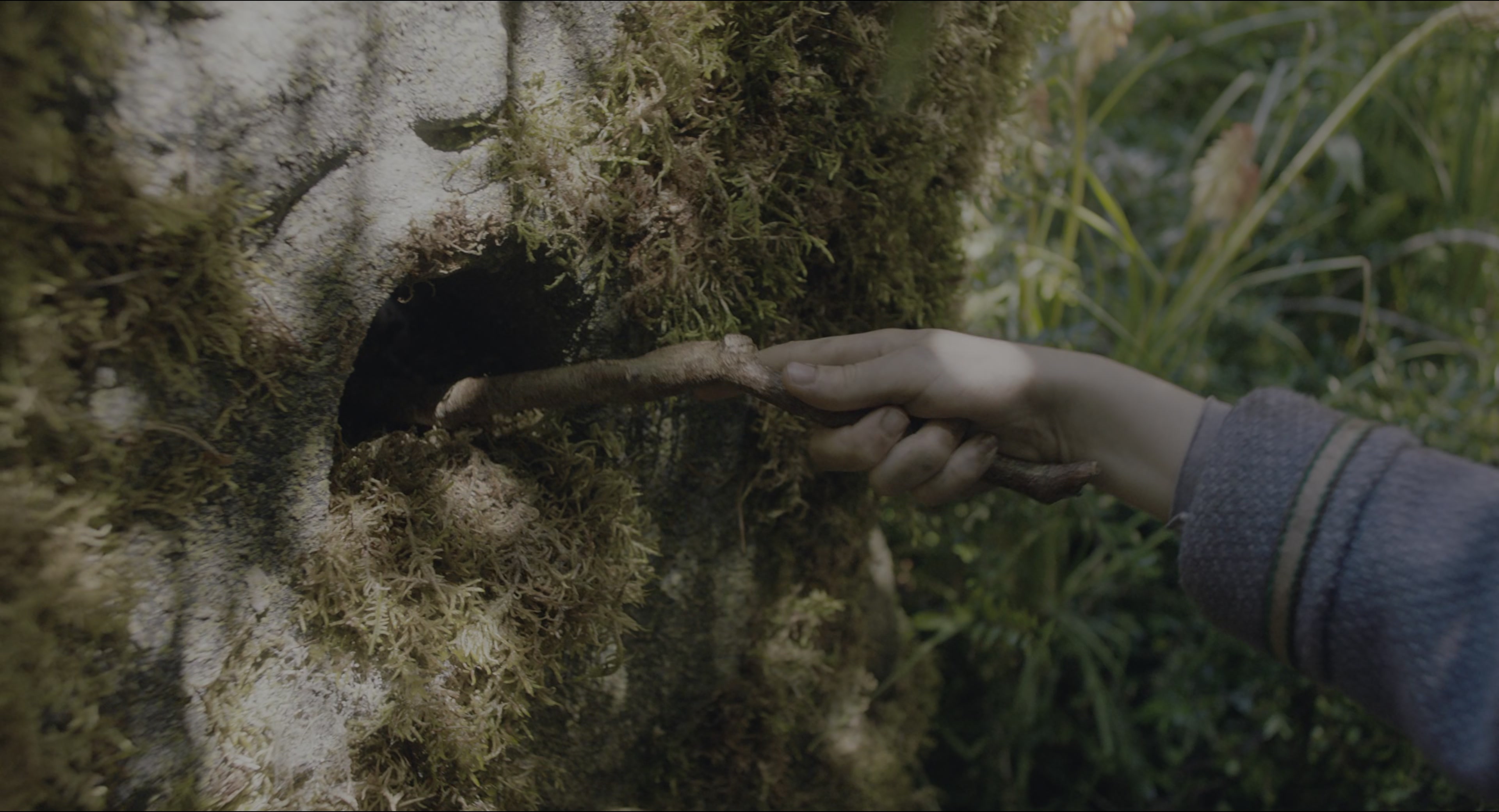 The Secret Garden (2020), wide, 1.85:1 — film still