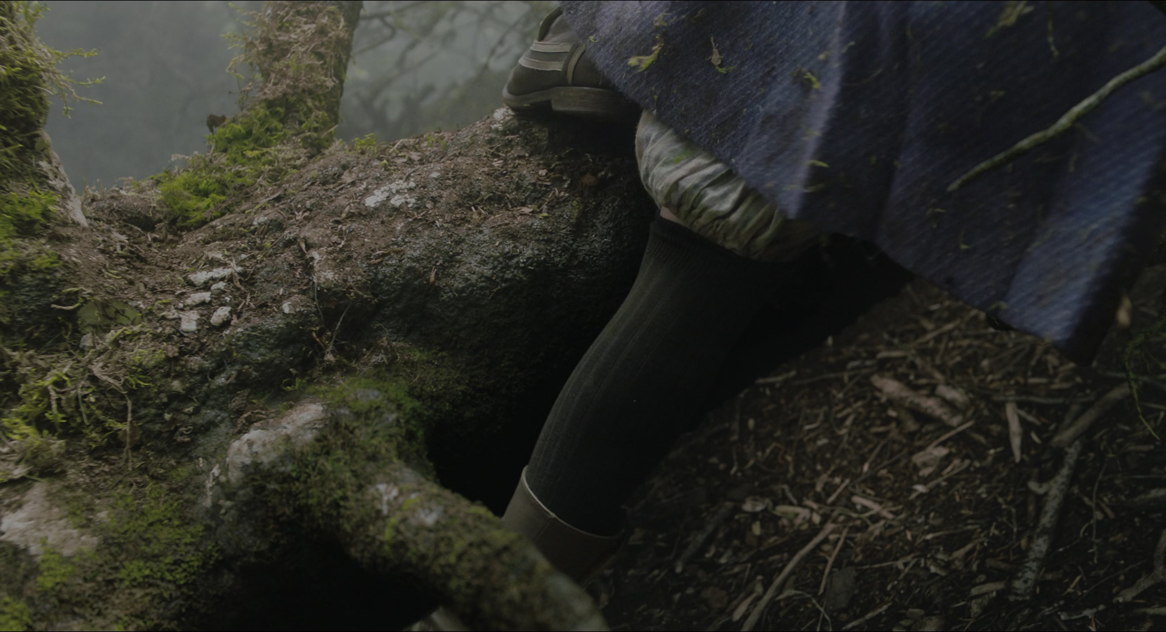The Secret Garden (2020), wide, 1.85:1 — film still