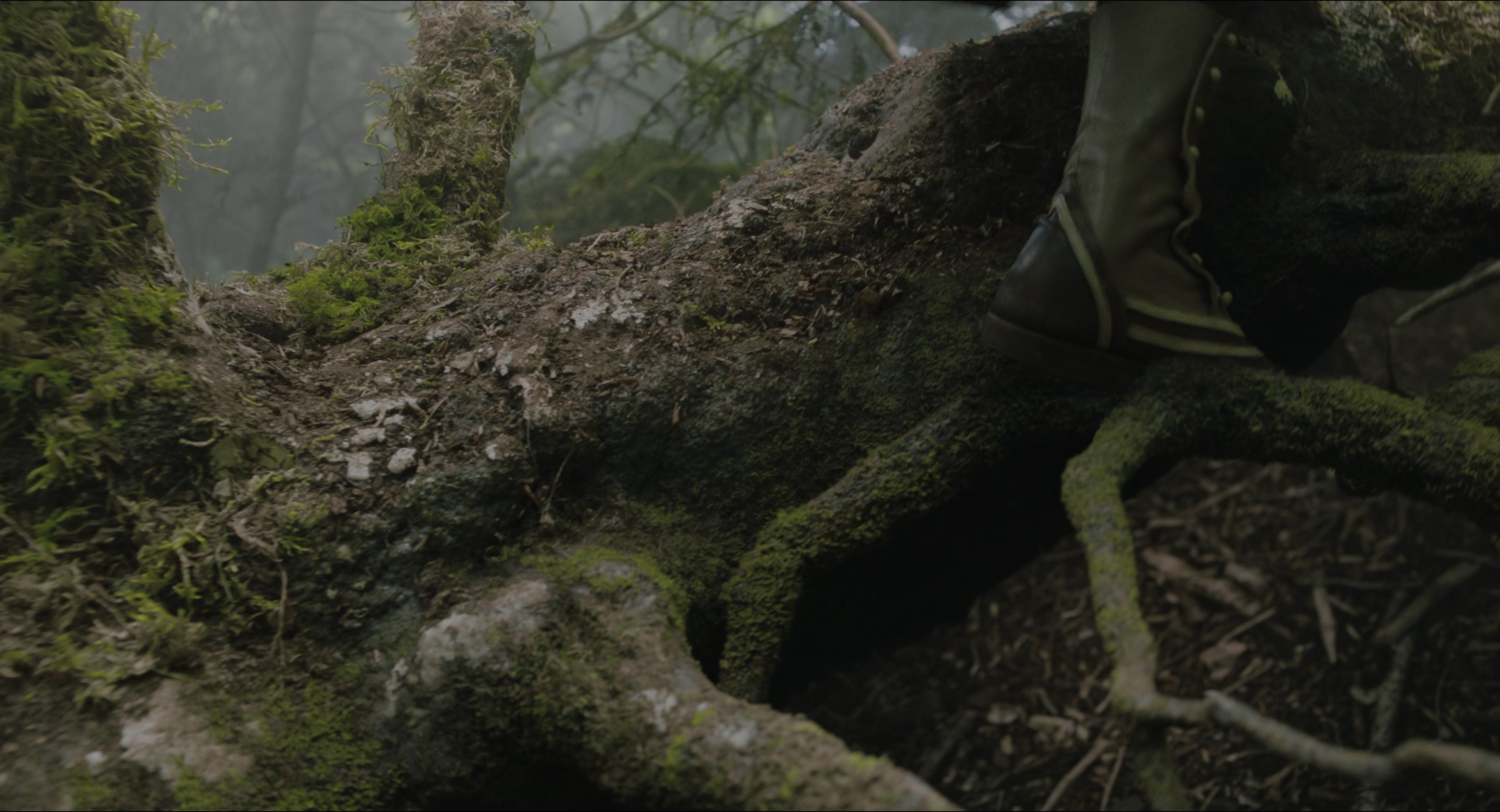 The Secret Garden (2020), wide, 1.85:1 — film still