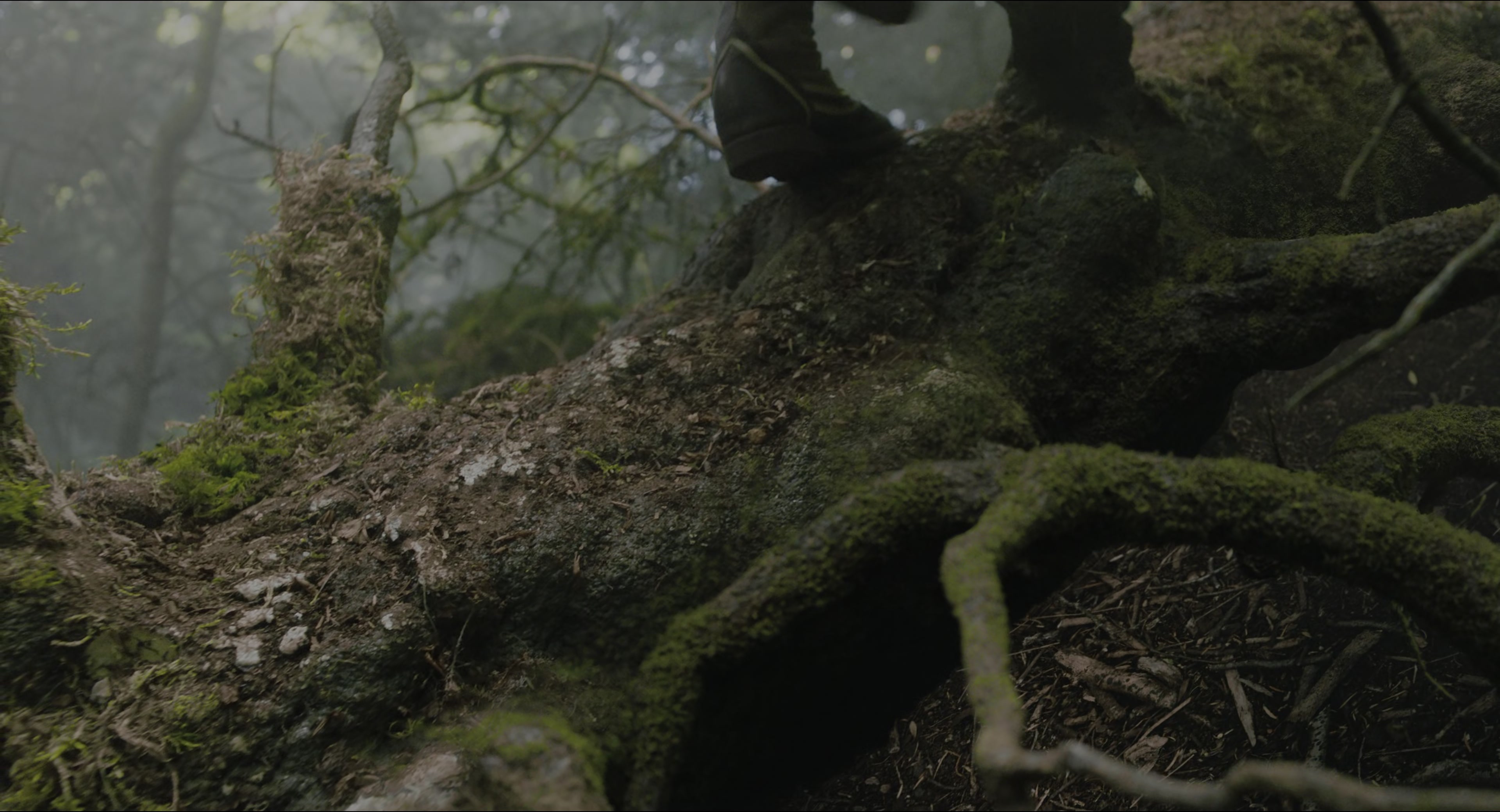 The Secret Garden (2020), wide, 1.85:1 — film still