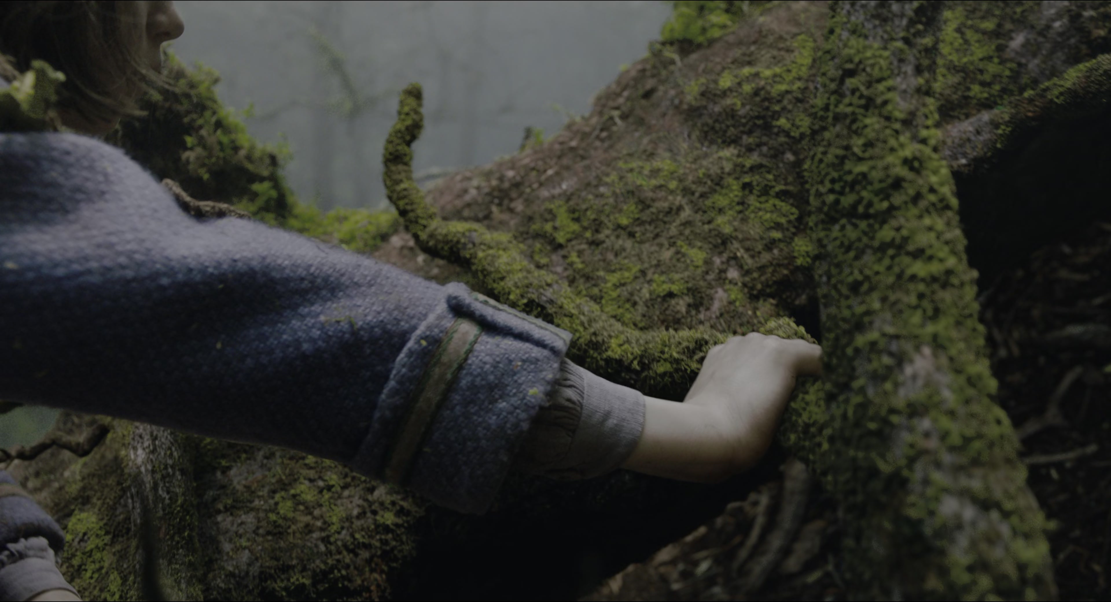 The Secret Garden (2020), wide, 1.85:1 — film still