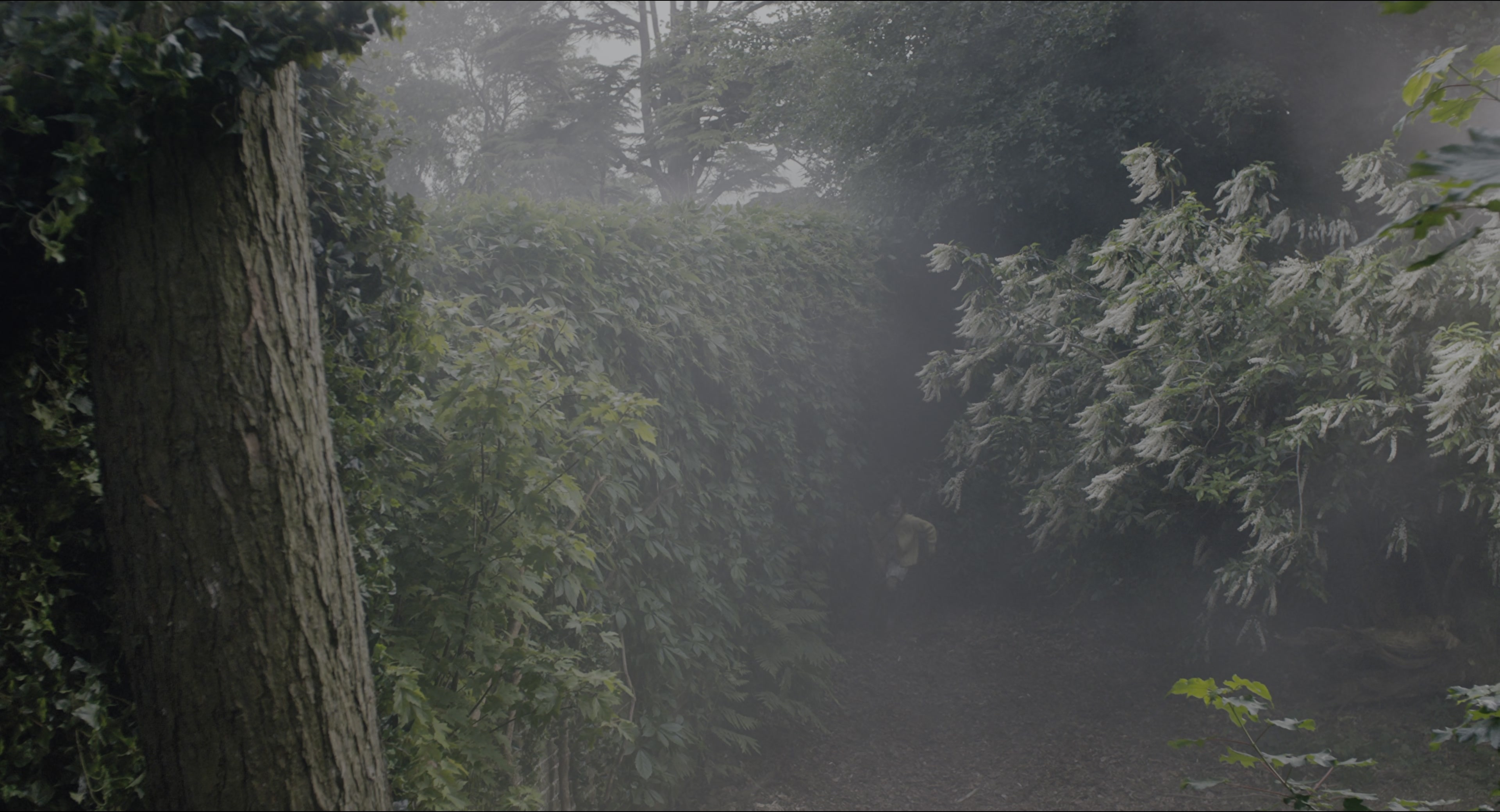 The Secret Garden (2020), wide, 1.85:1 — film still
