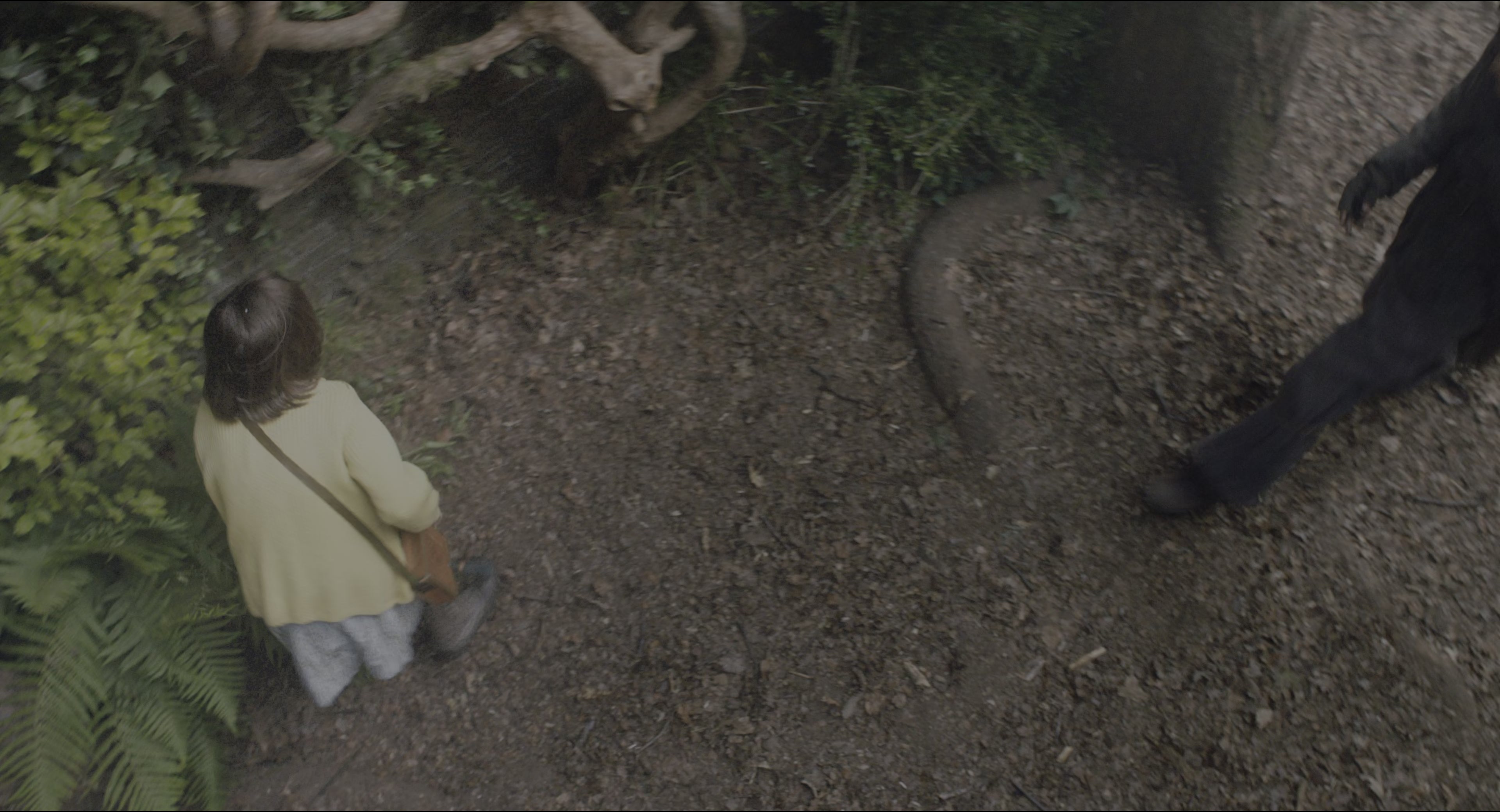 The Secret Garden (2020), wide, 1.85:1 — film still
