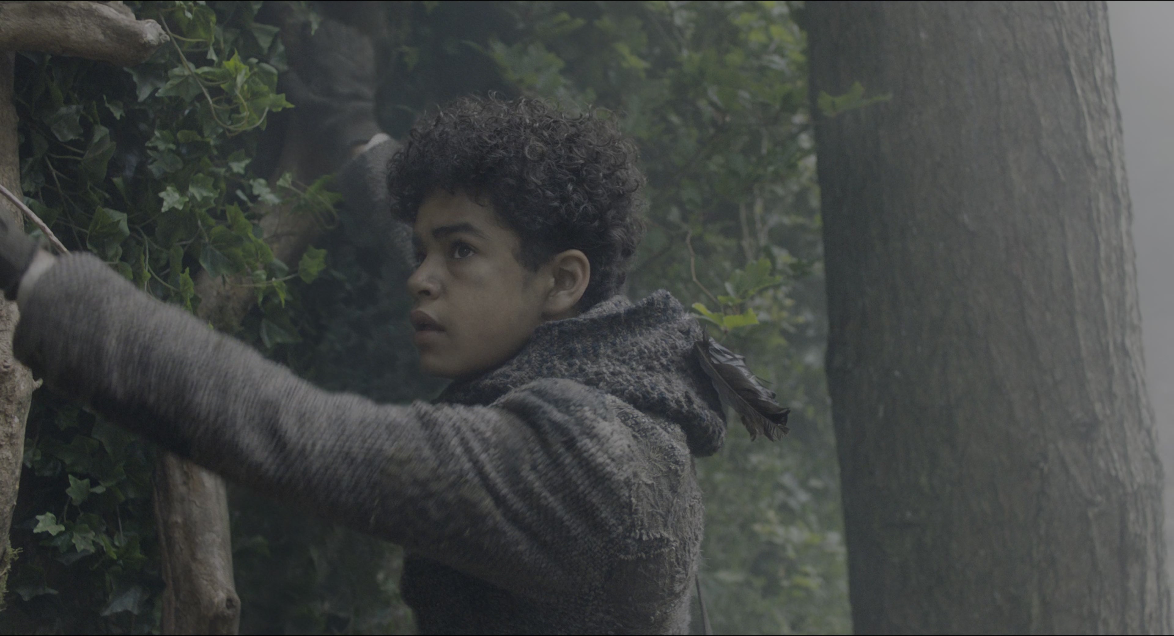 The Secret Garden (2020), wide, 1.85:1 — film still
