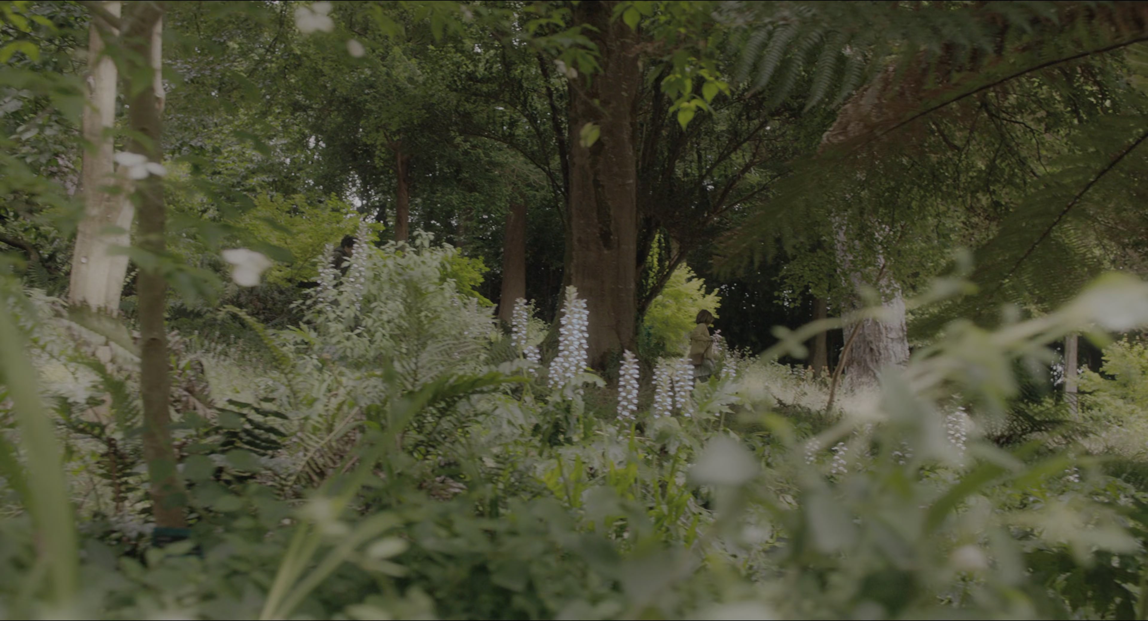 The Secret Garden (2020), wide, 1.85:1 — film still