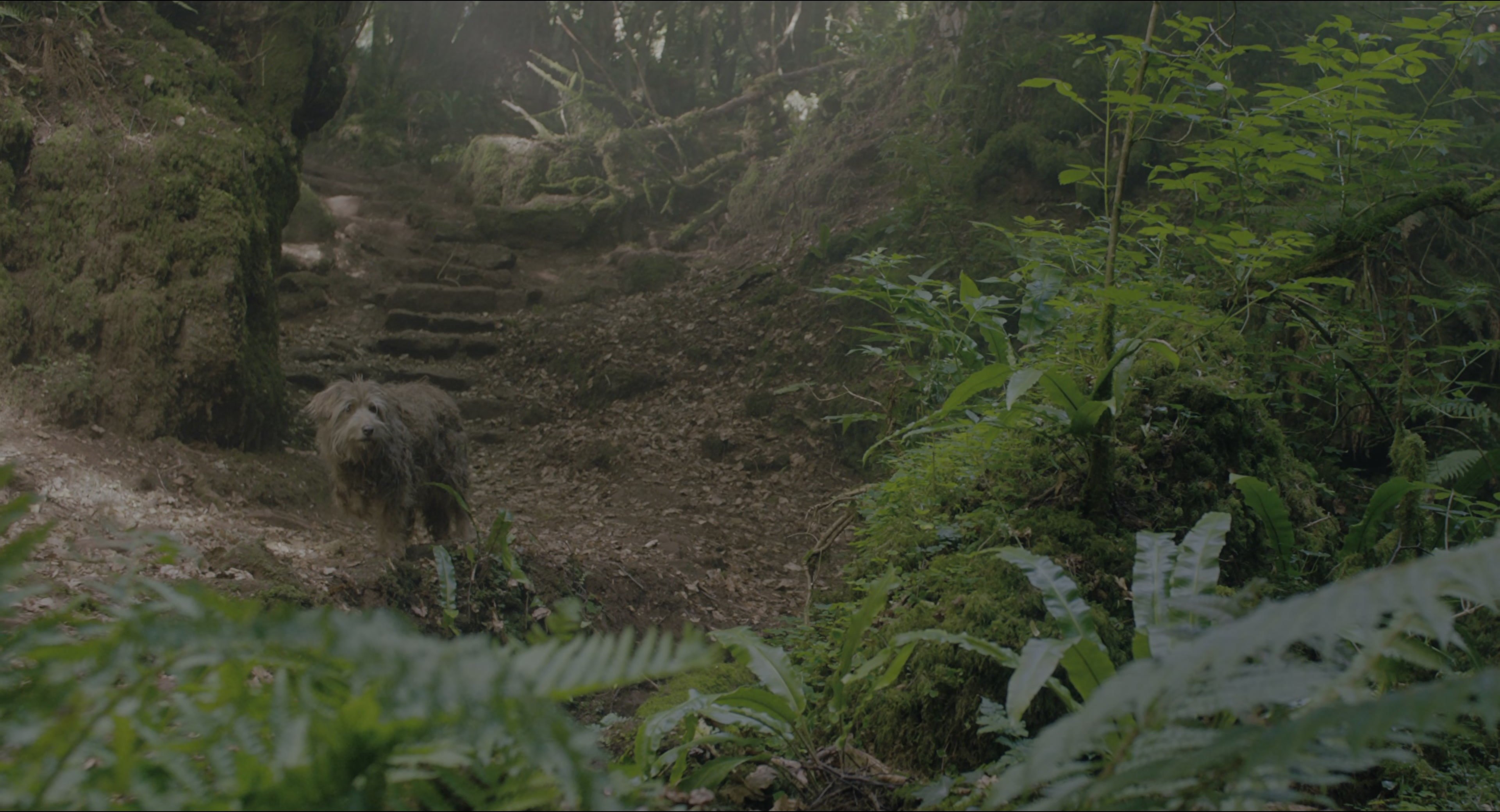 The Secret Garden (2020), wide, 1.85:1 — film still