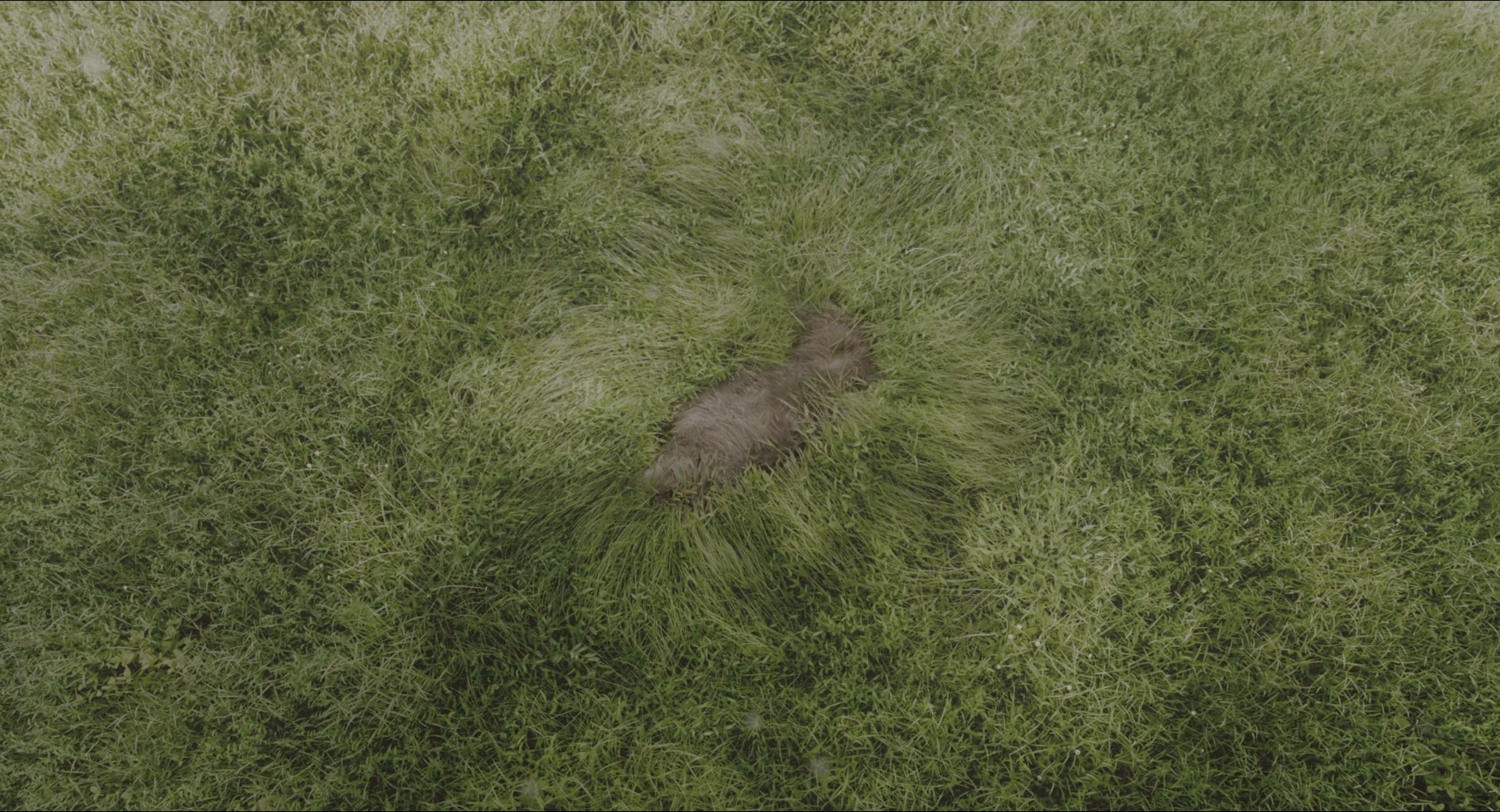 The Secret Garden (2020), wide, 1.85:1 — film still