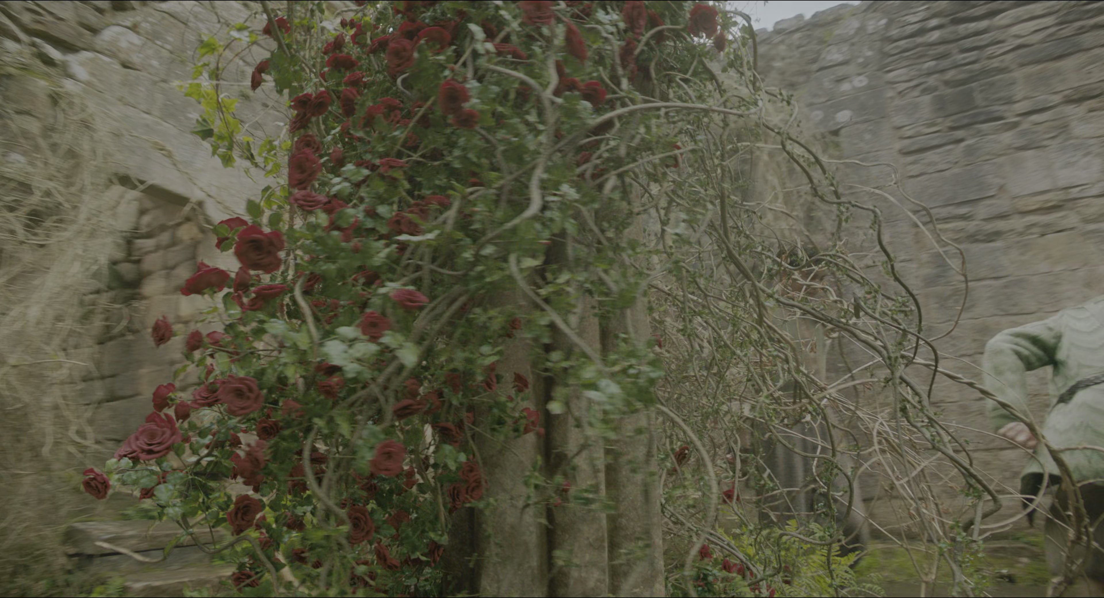 The Secret Garden (2020), wide, 1.85:1 — film still