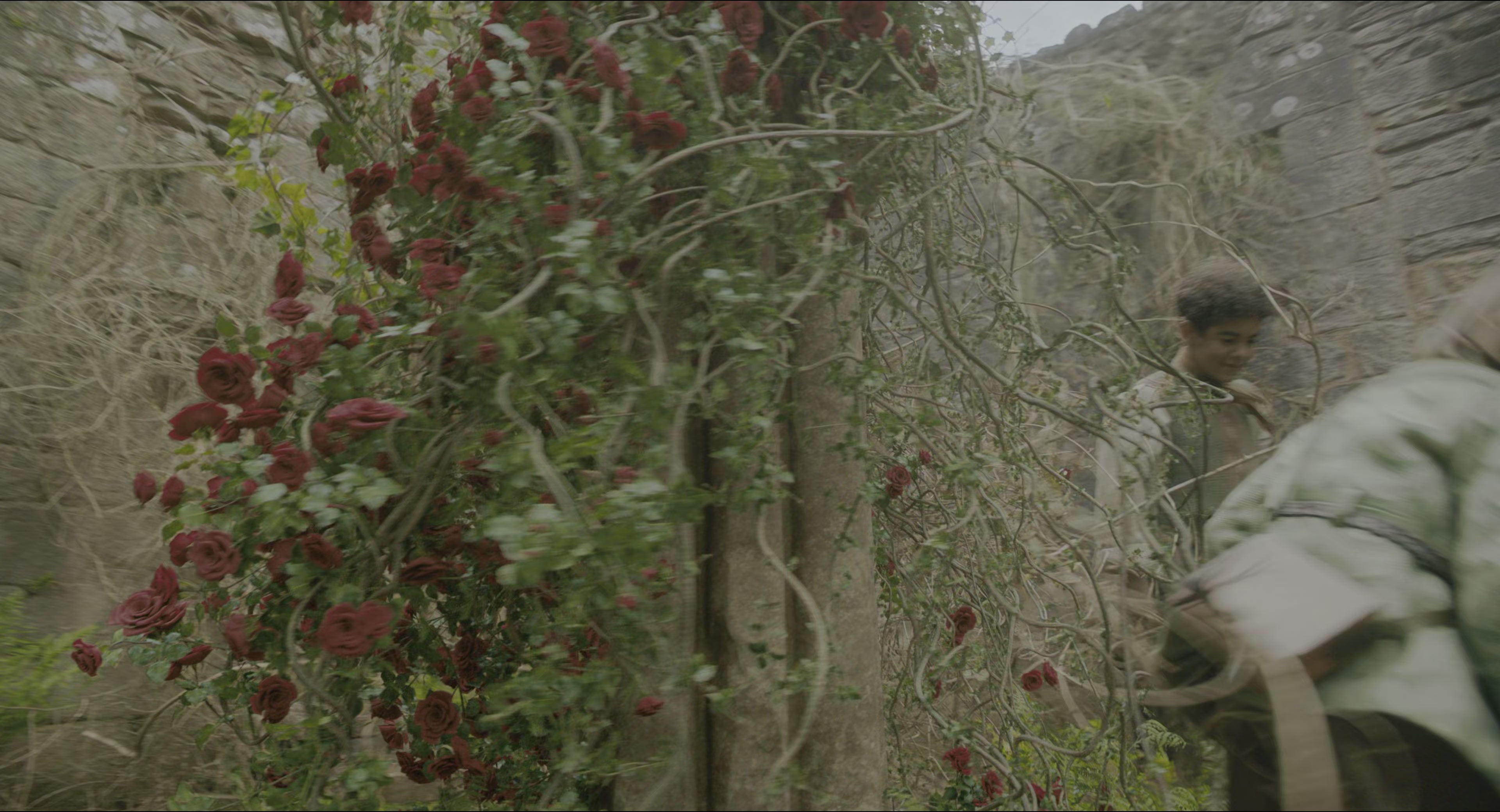 The Secret Garden (2020), wide, 1.85:1 — film still