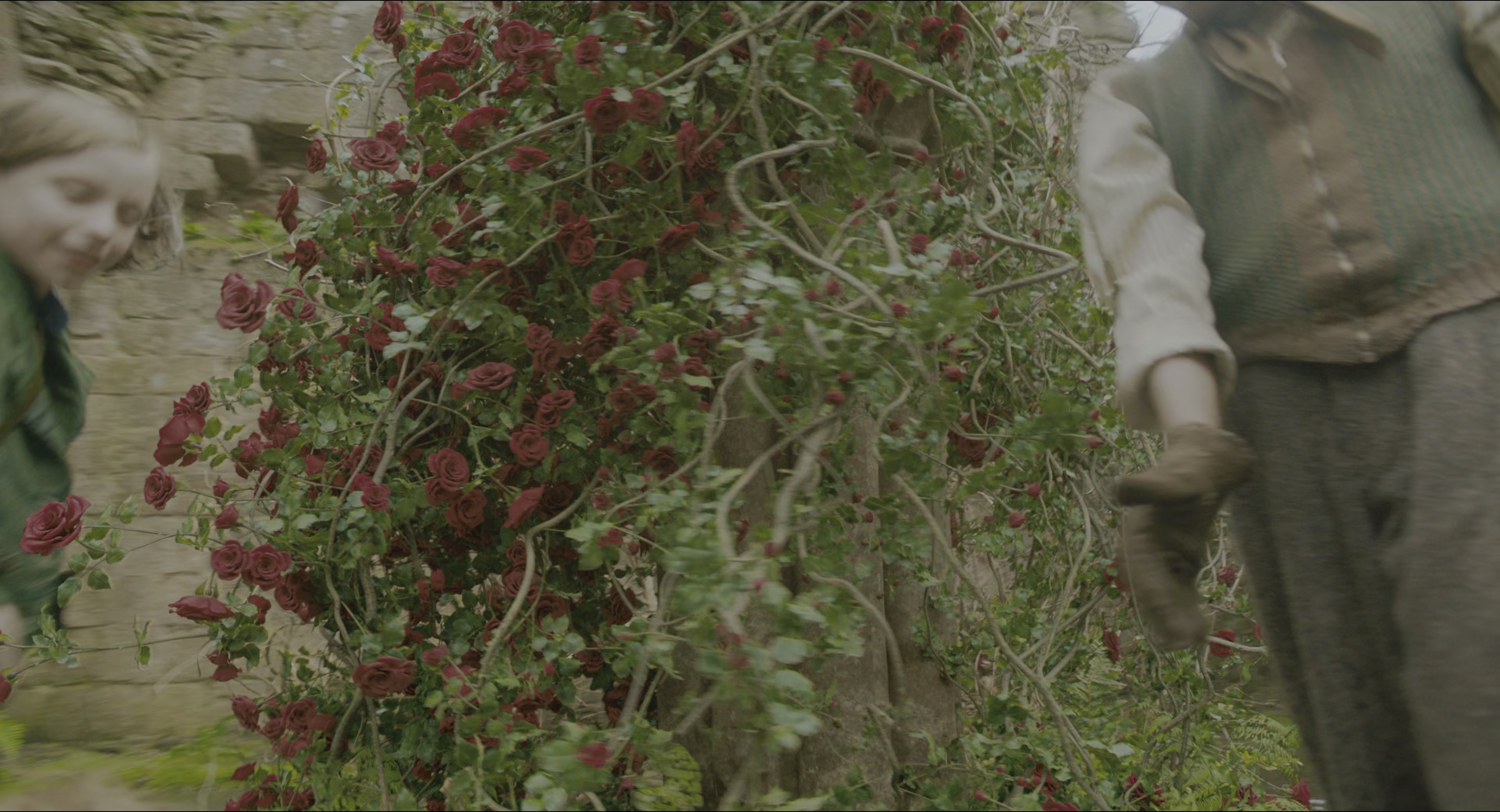The Secret Garden (2020), wide, 1.85:1 — film still