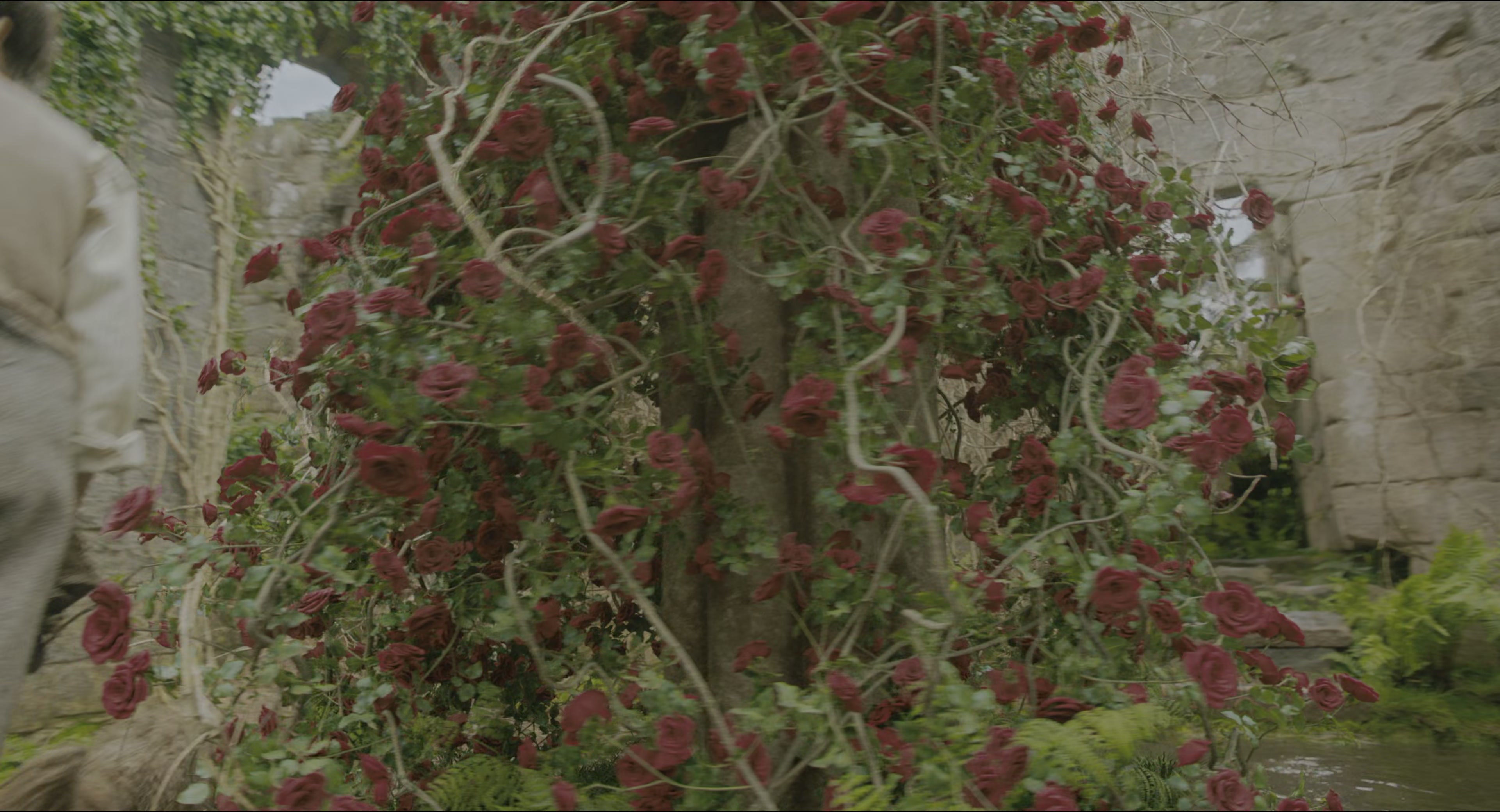 The Secret Garden (2020), wide, 1.85:1 — film still