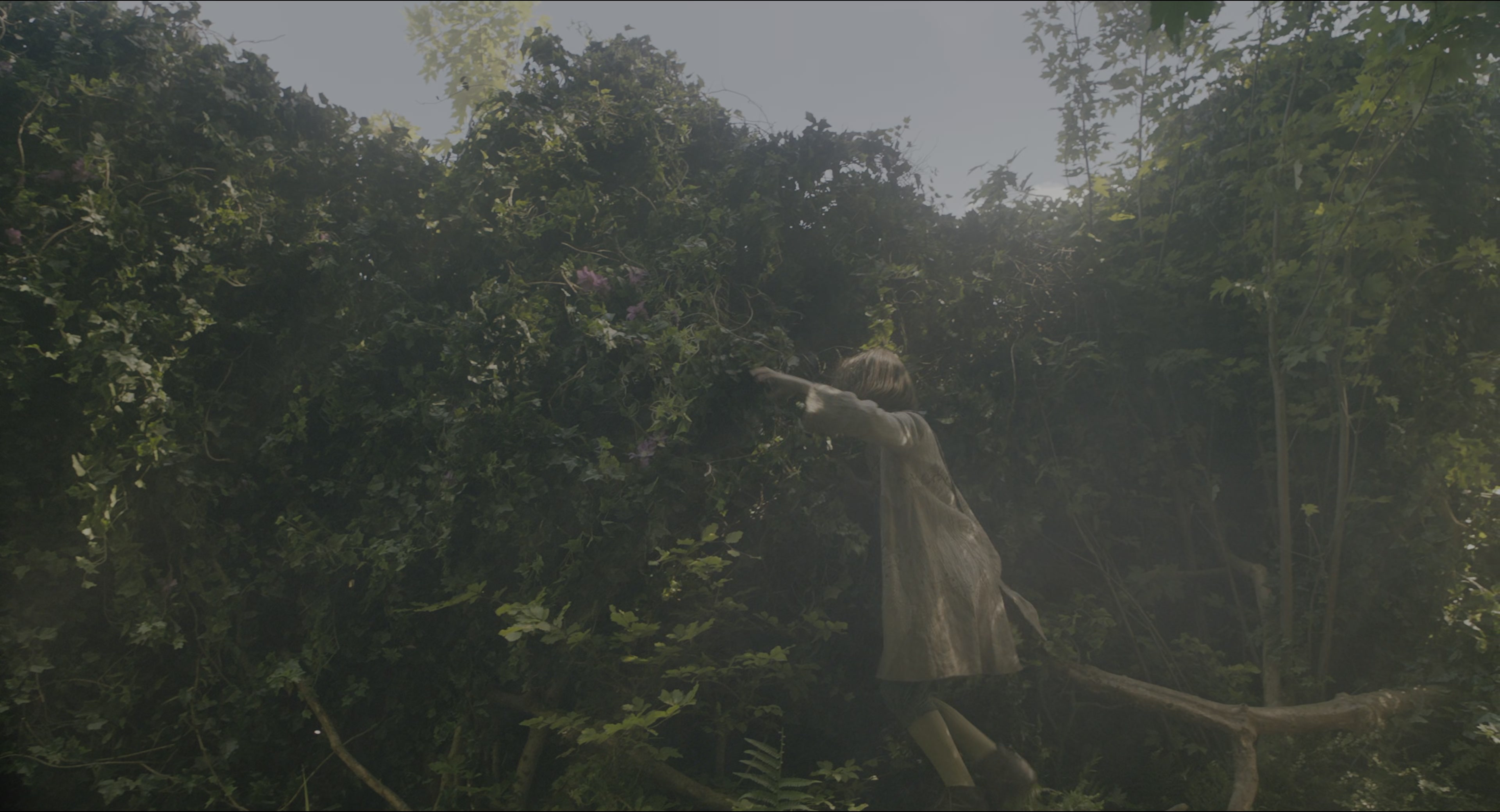 The Secret Garden (2020), wide, 1.85:1 — film still
