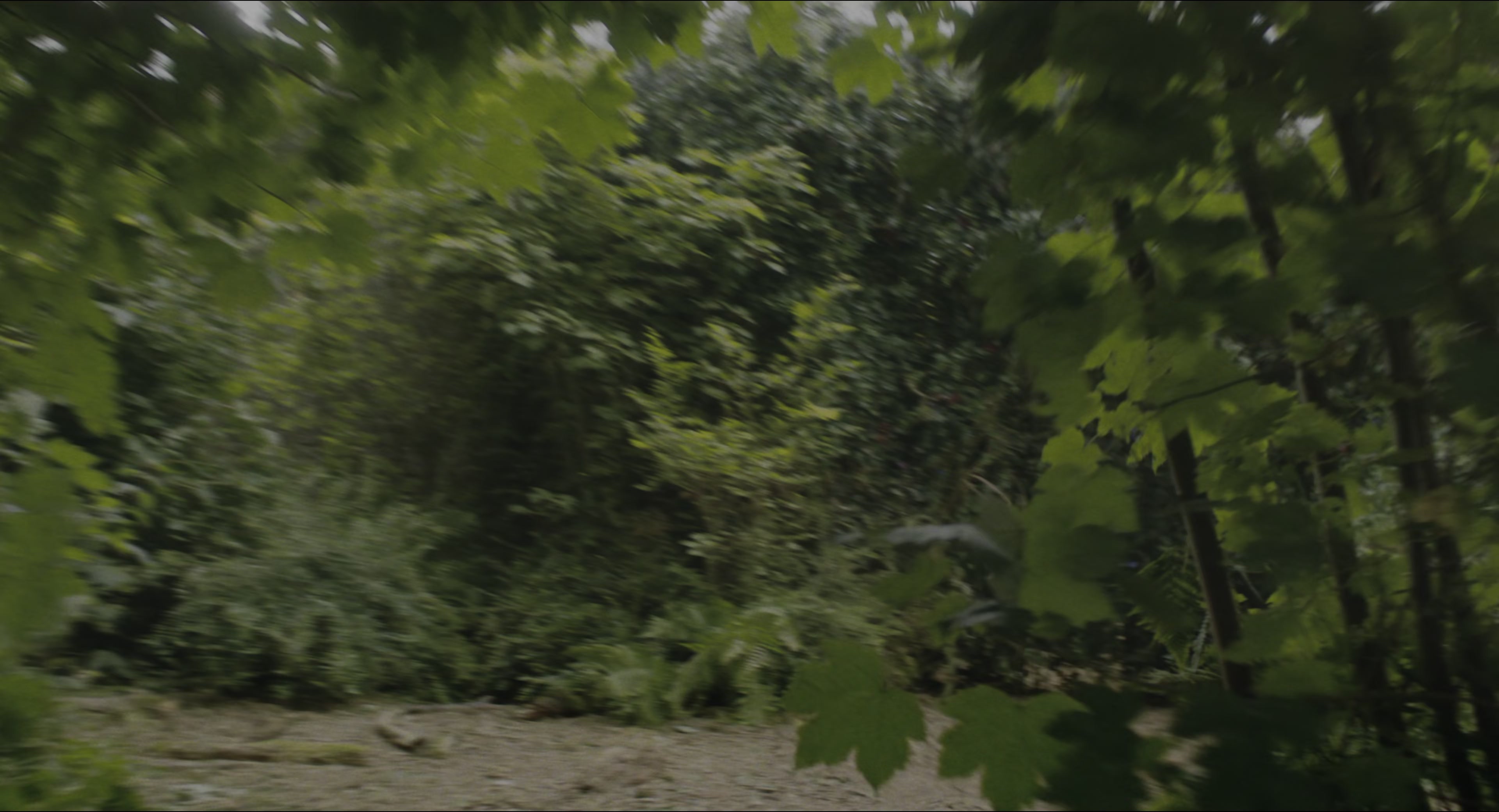 The Secret Garden (2020), wide, 1.85:1 — film still