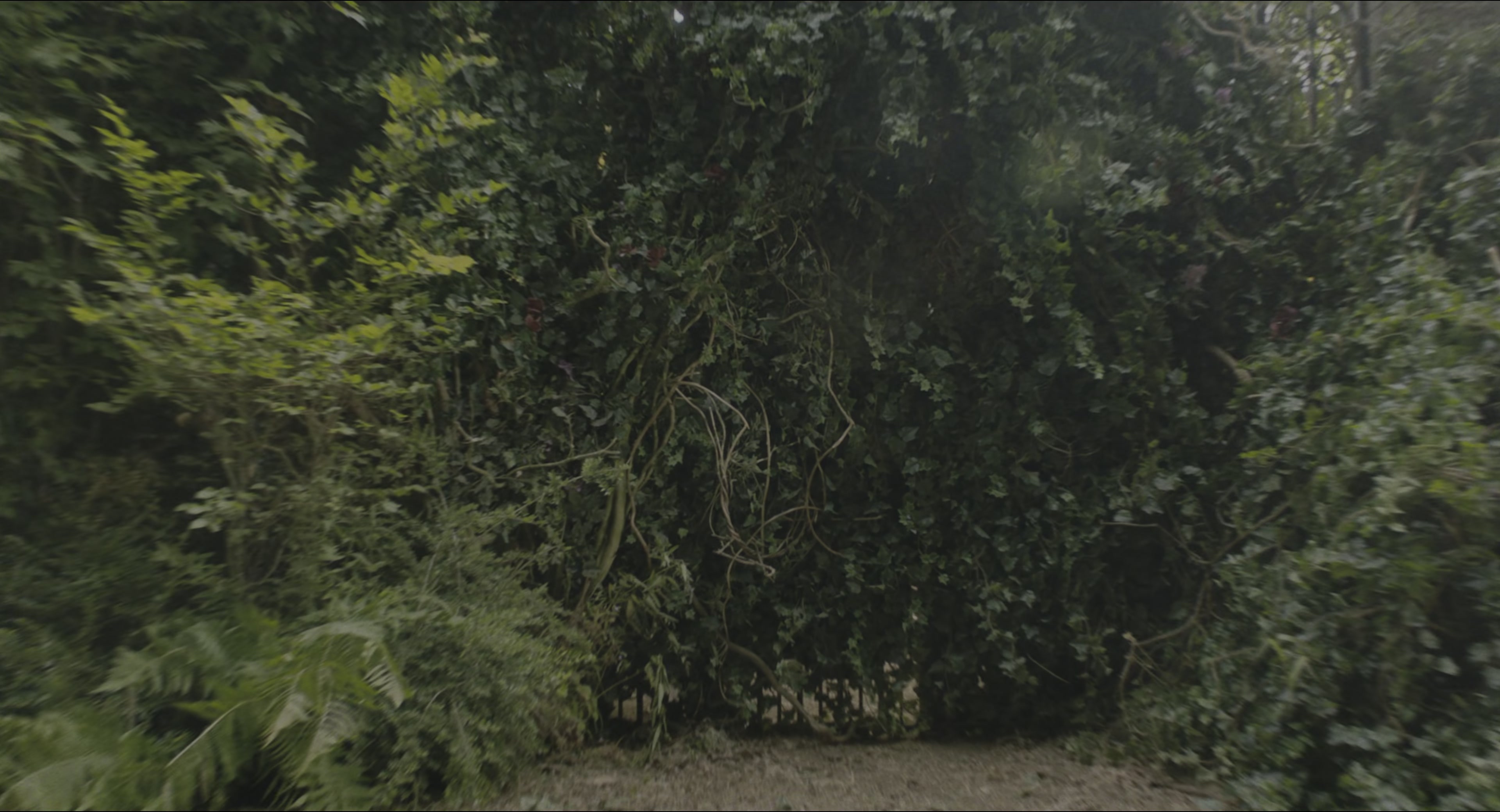 The Secret Garden (2020), wide, 1.85:1 — film still